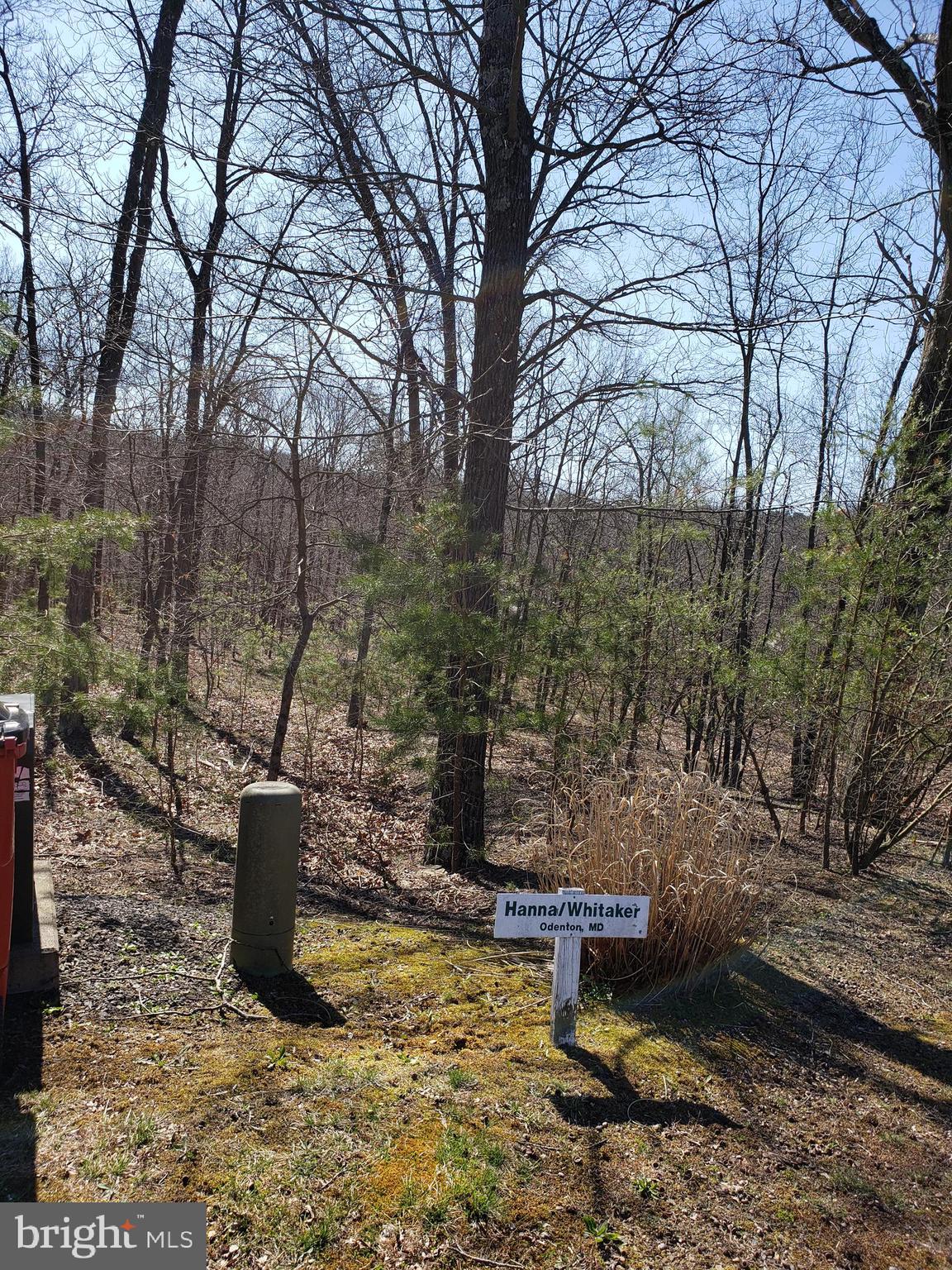 CACAPON SOUTH SECTION V - Land