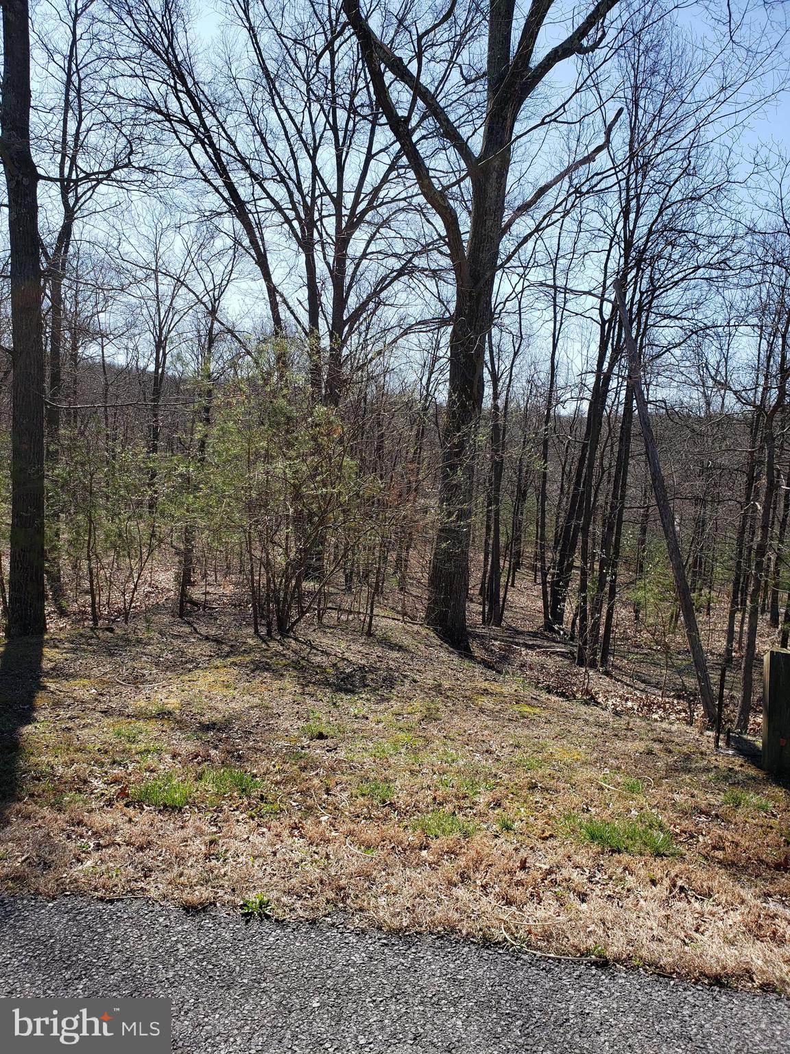 CACAPON SOUTH SECTION V - Land