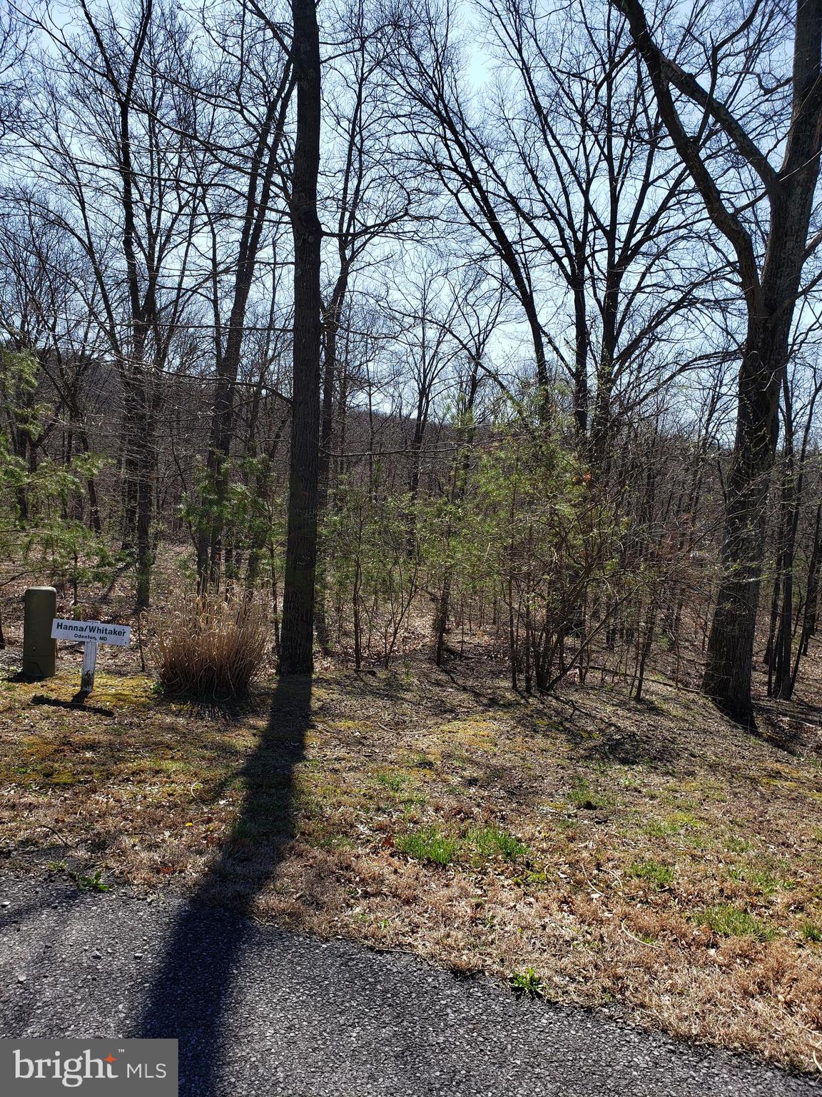 CACAPON SOUTH SECTION V - Land