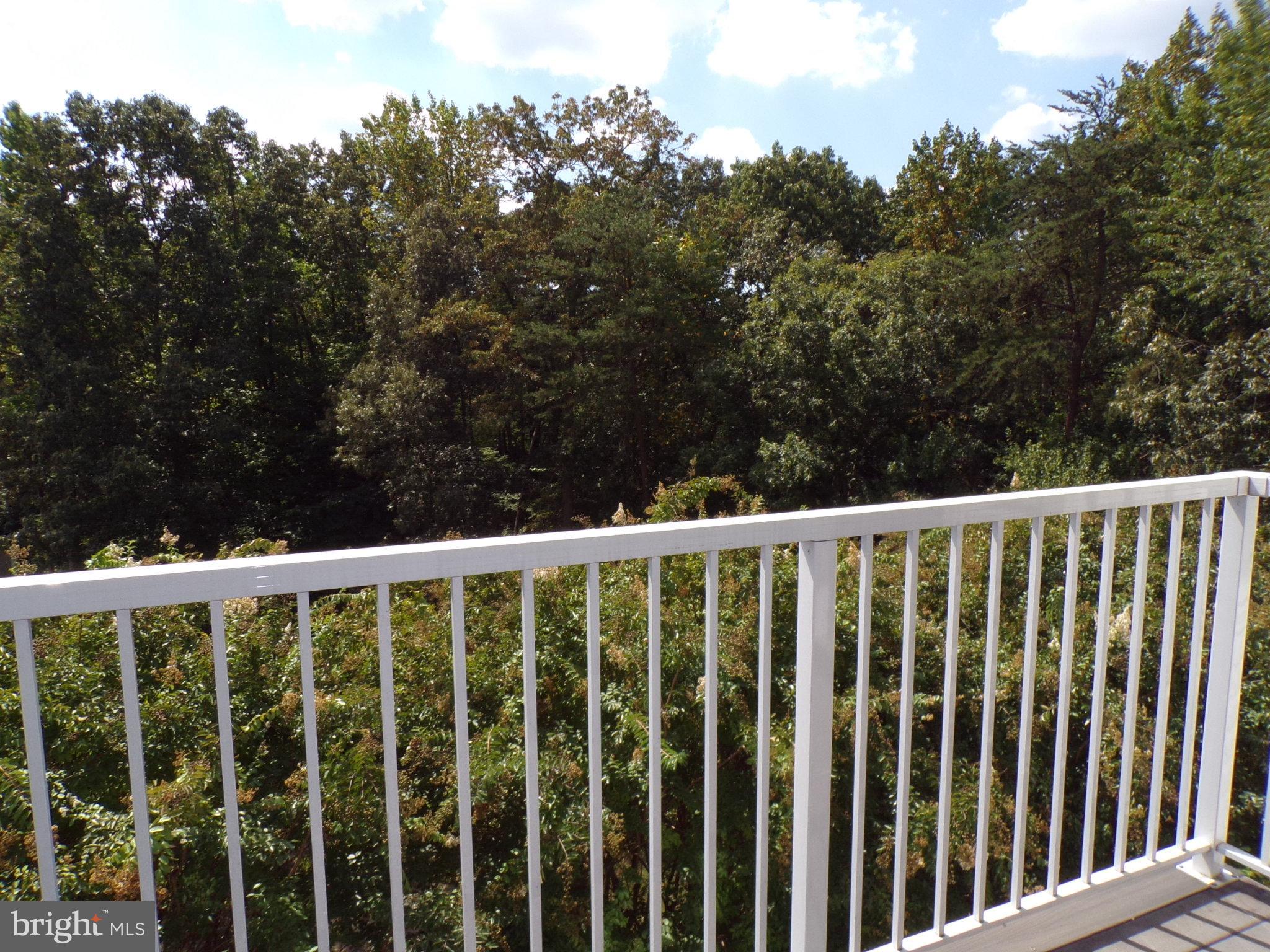 SYCAMORES AT VAN DORN - Residential Lease