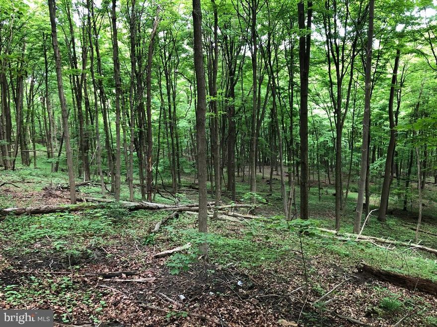 Whether you're looking to build your dream home or just to get away, this quiet and secluded 6 acre lot fits the bill.  Seller will pay for a new survey and perc test with a suitable offer.