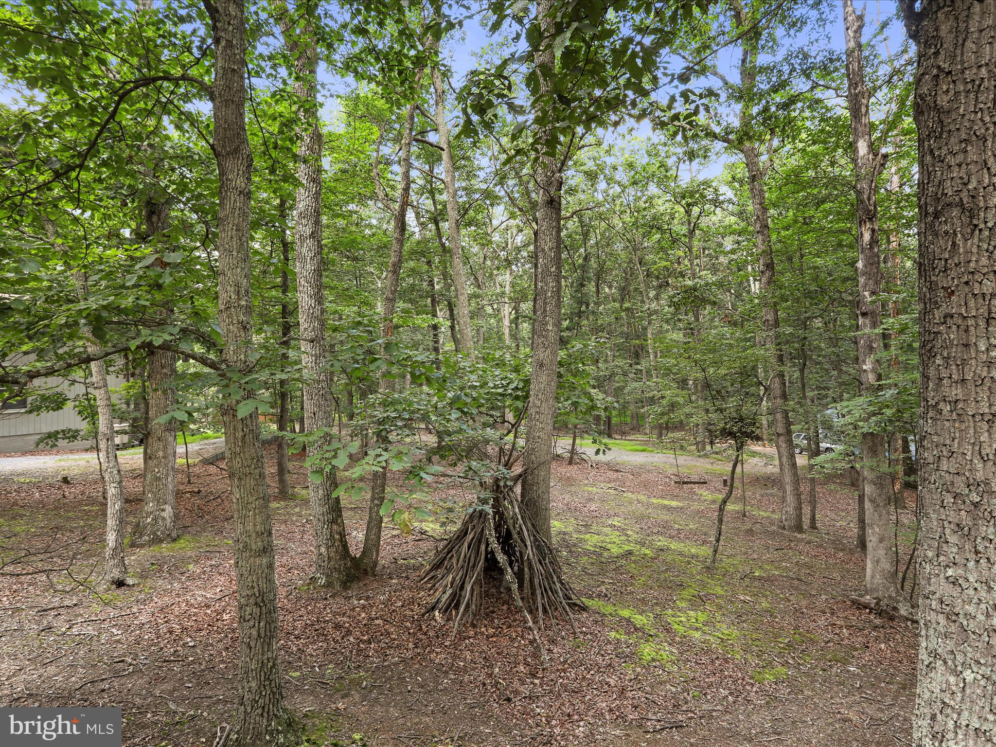 THE WOODS - Residential