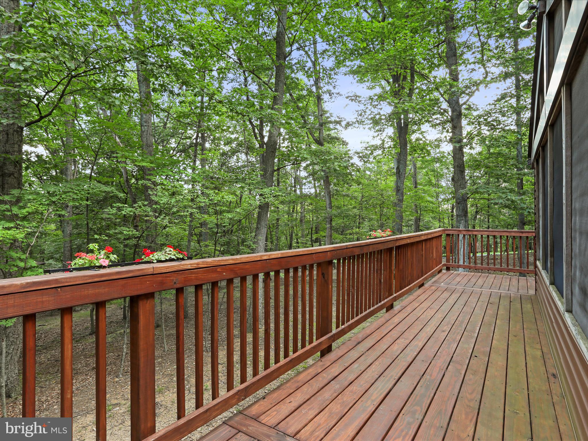 THE WOODS - Residential