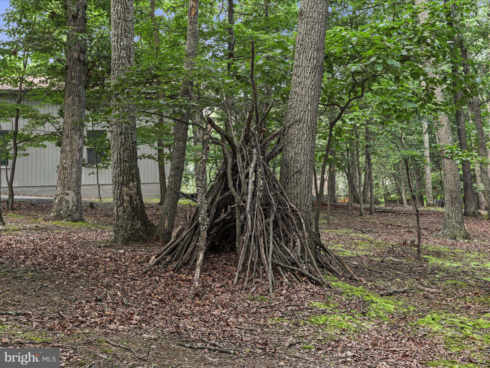 THE WOODS - Residential