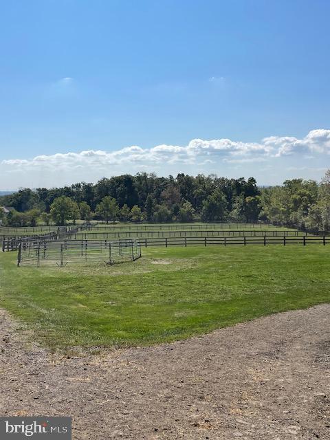 NONE AVAILABLE - Commercial Sale