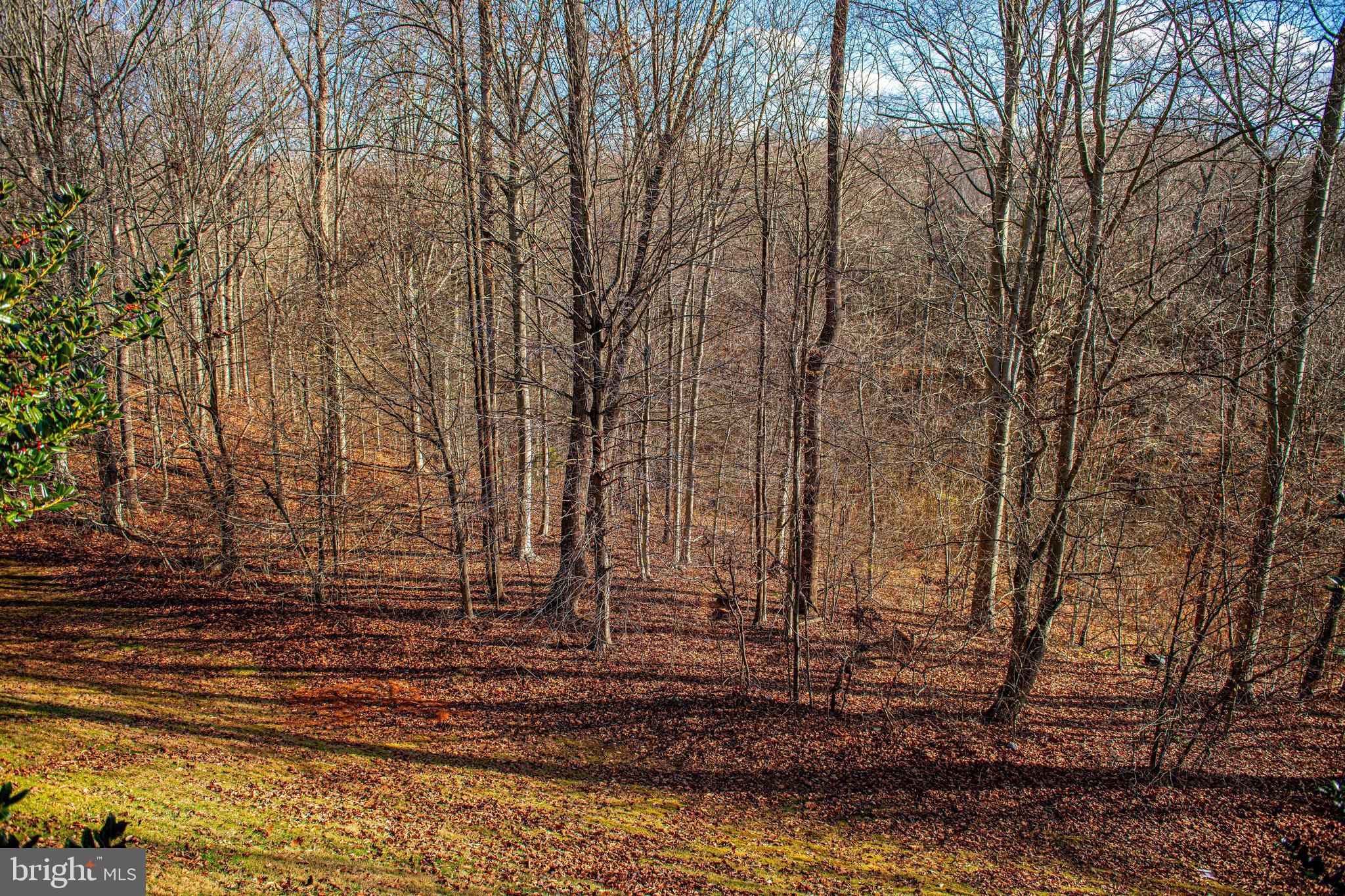 THE ESTATES AT CEDARDAY - Residential