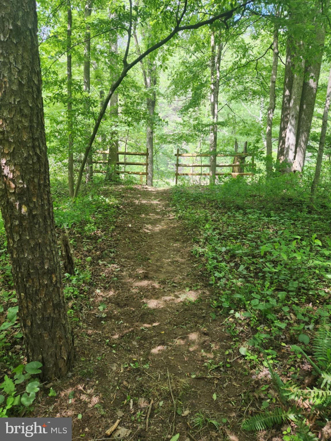 CACAPON HILLS - Residential