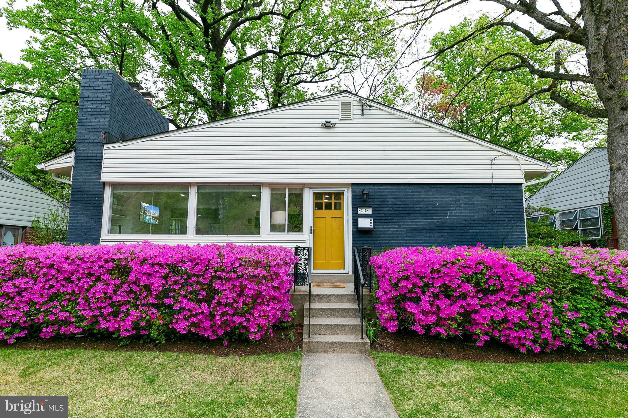 TAKOMA PARK - Residential