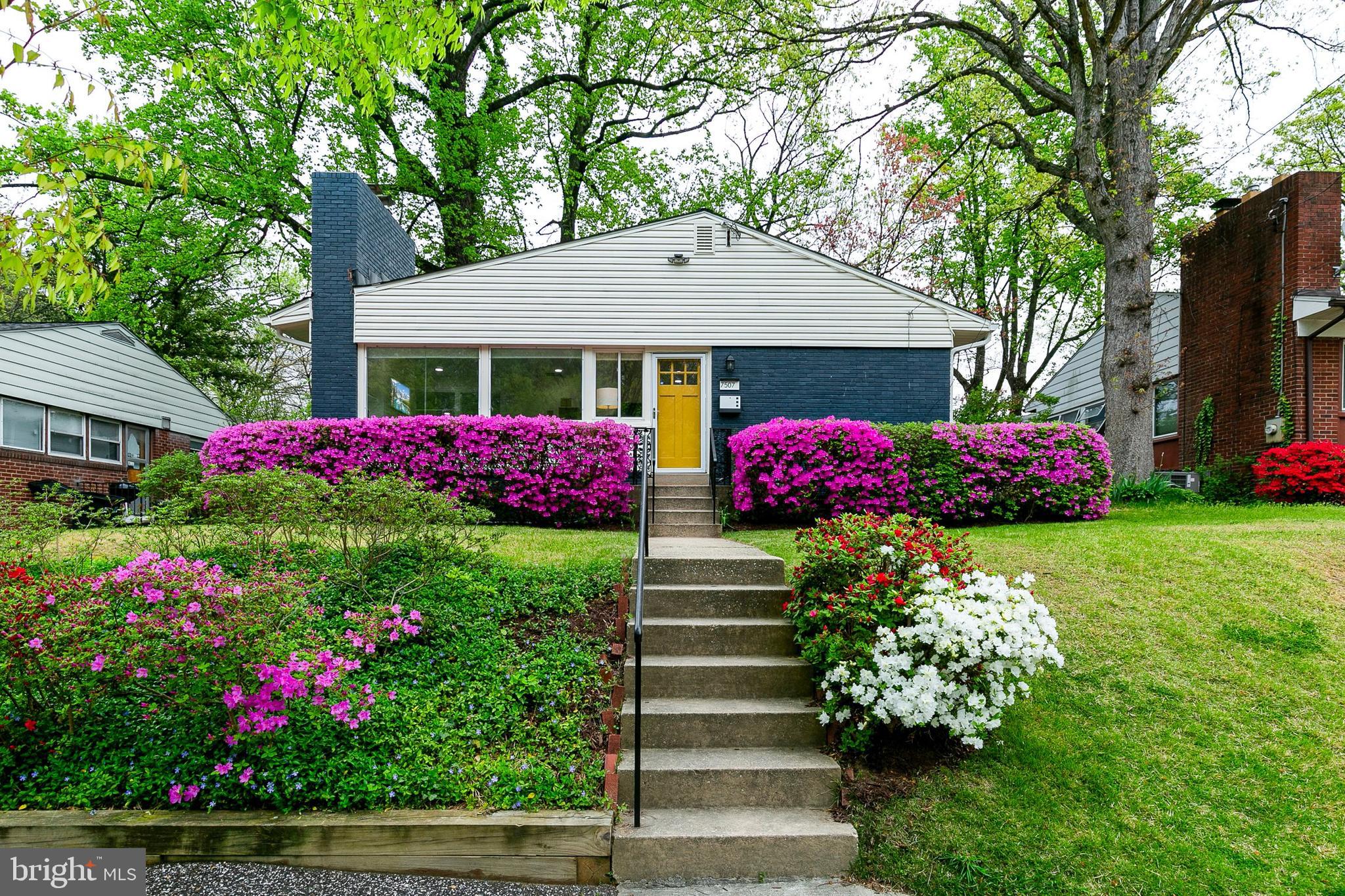 TAKOMA PARK - Residential