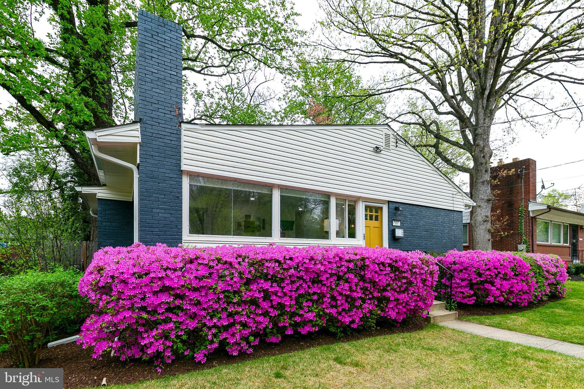 TAKOMA PARK - Residential