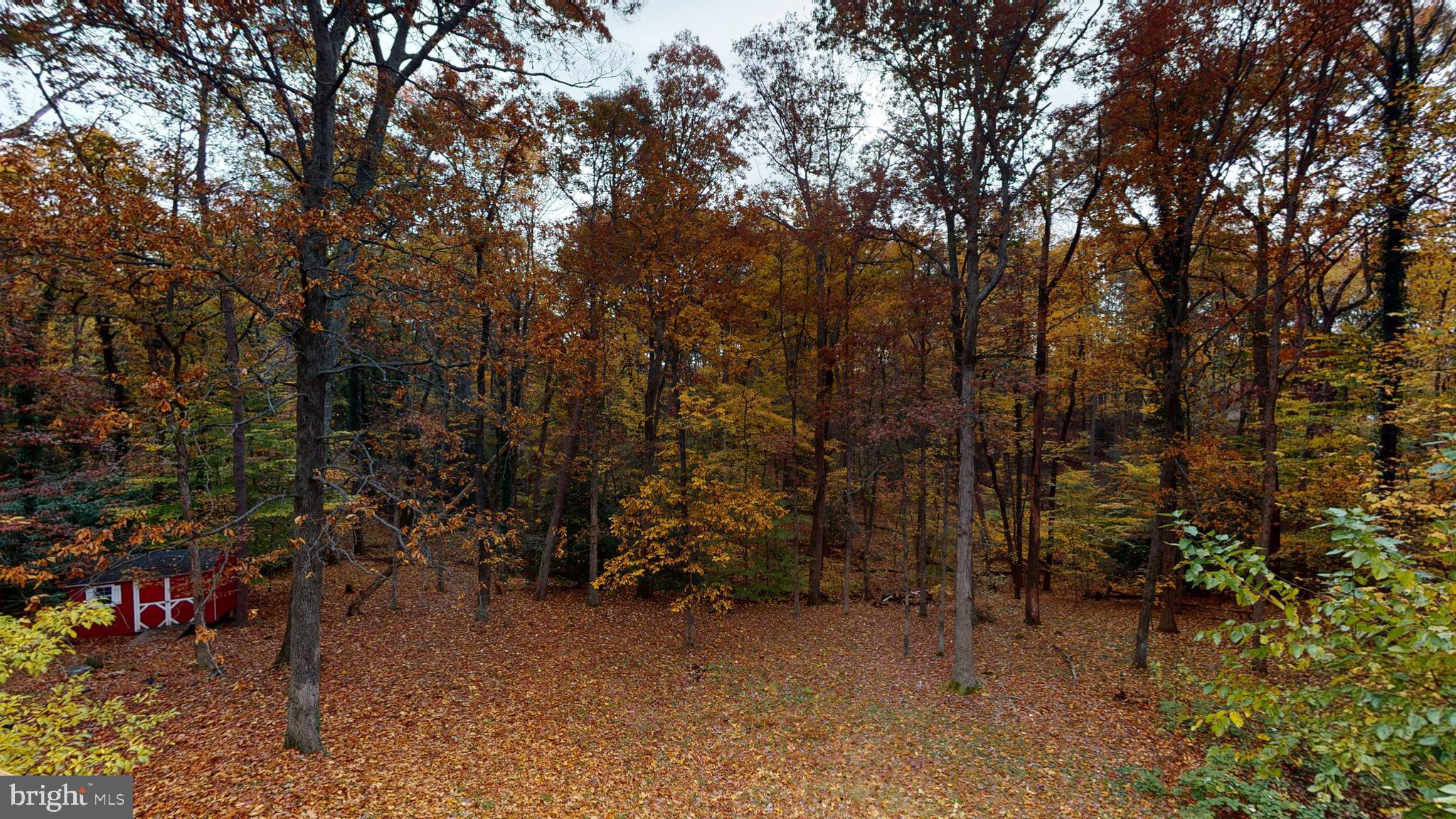 ROSE MARIE - Residential Lease