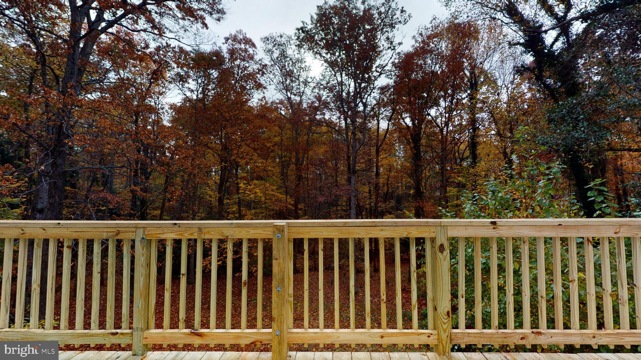 ROSE MARIE - Residential Lease