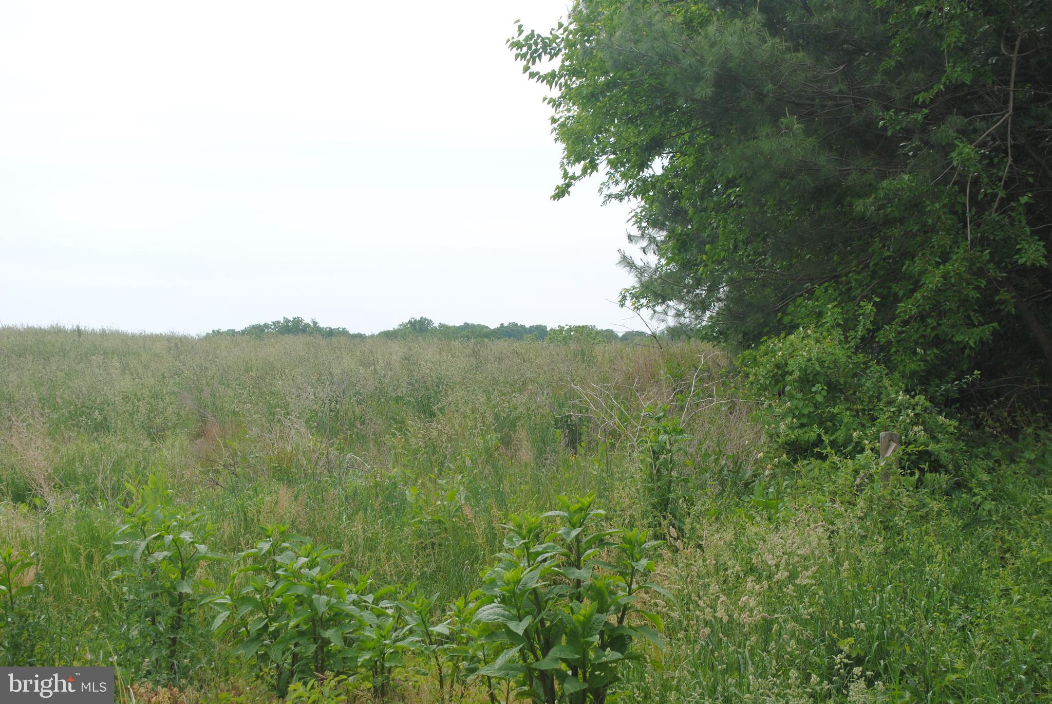 FULTON HILL - Residential