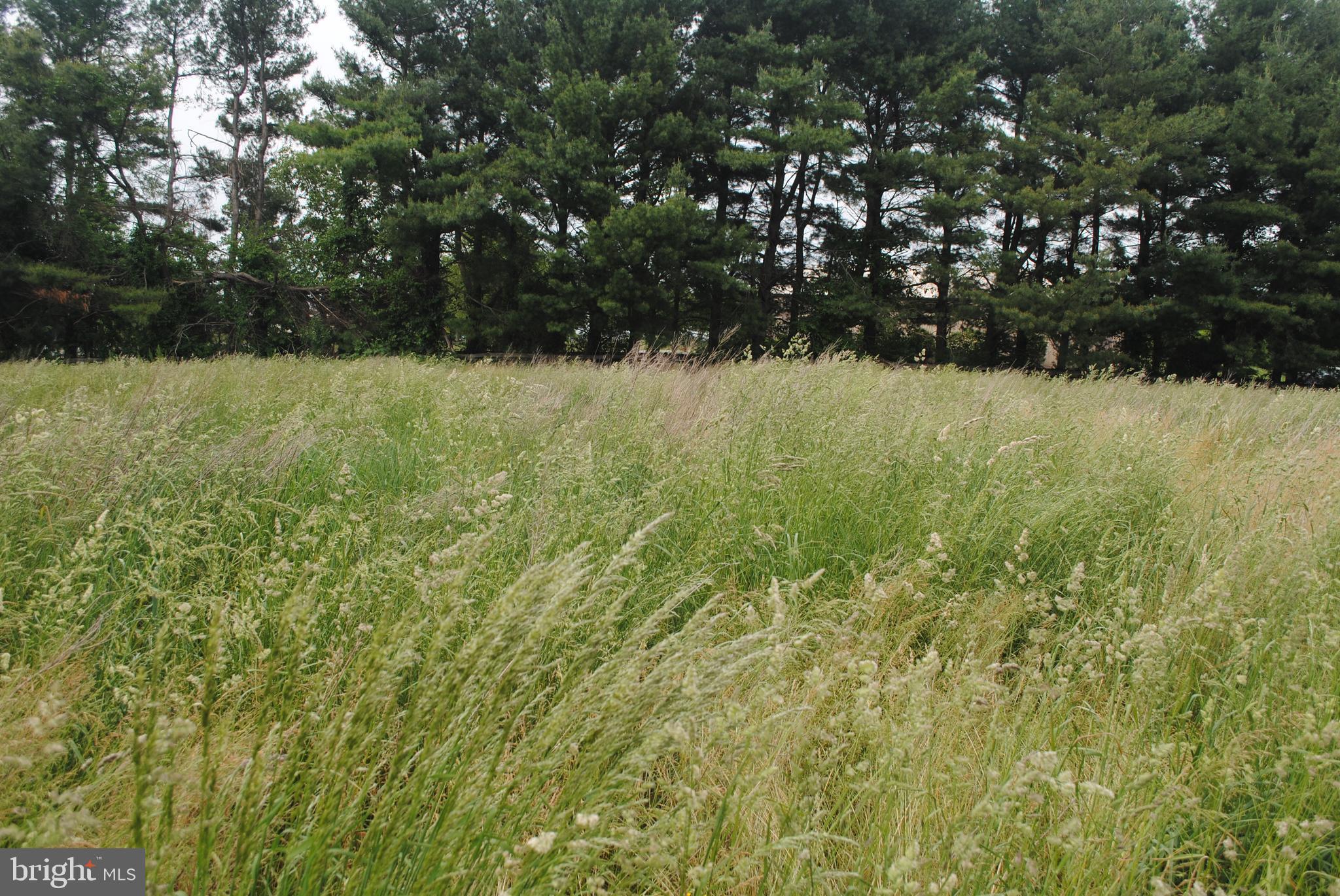 FULTON HILL - Residential