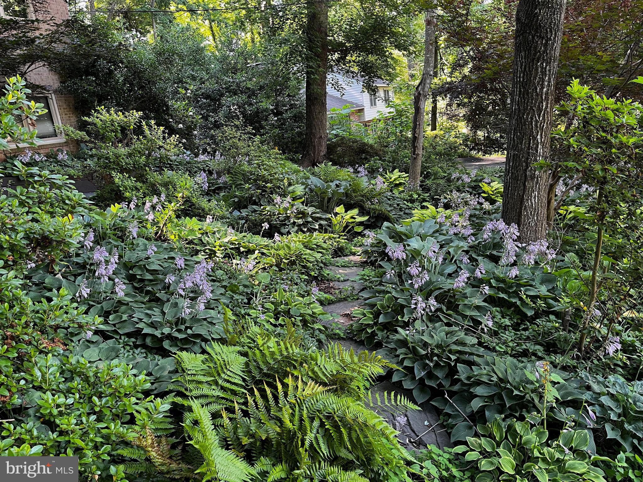 LAKE BARCROFT - Residential