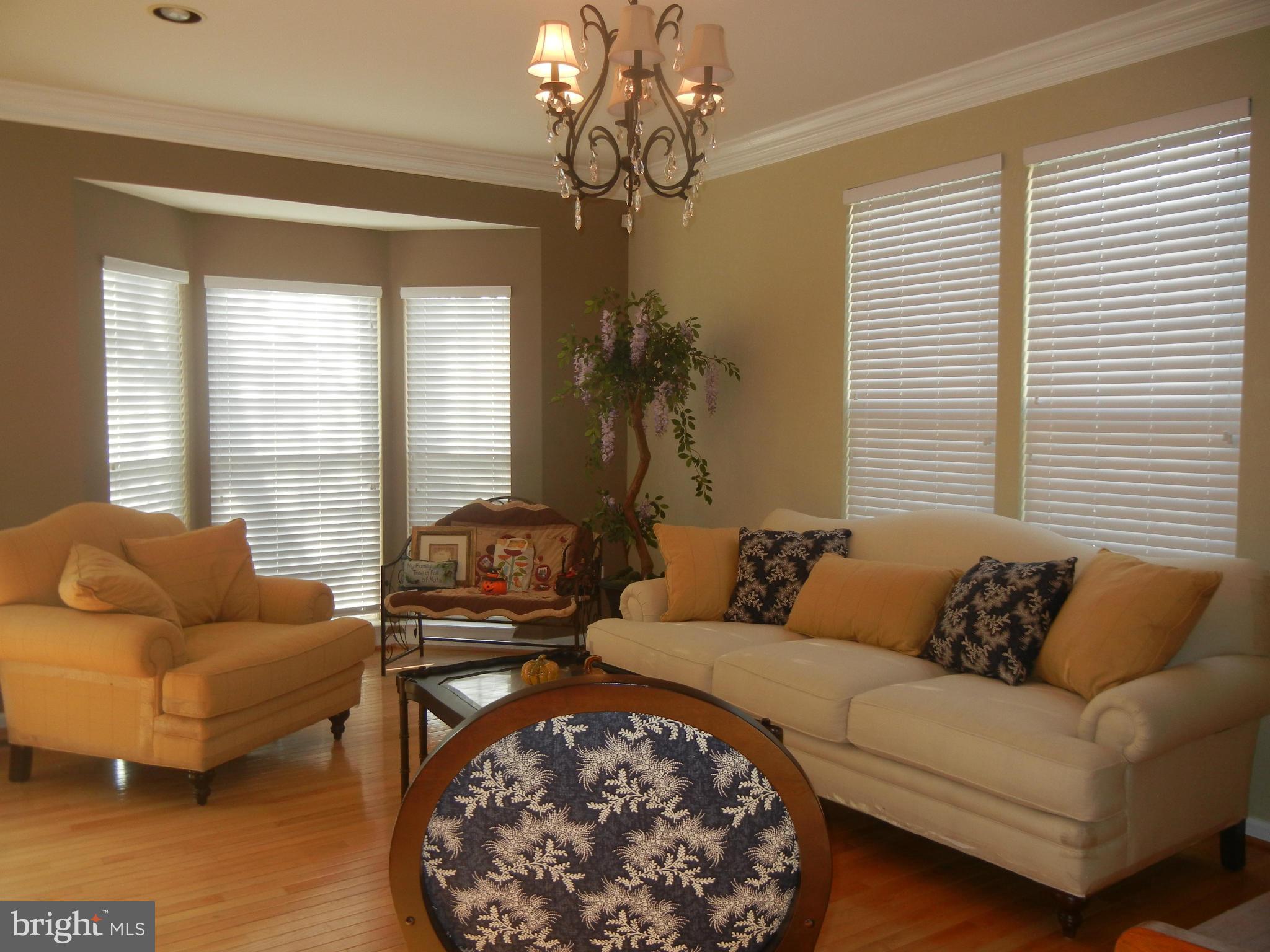 BCKGHM CND@OWGS MS NW TN - Residential Lease