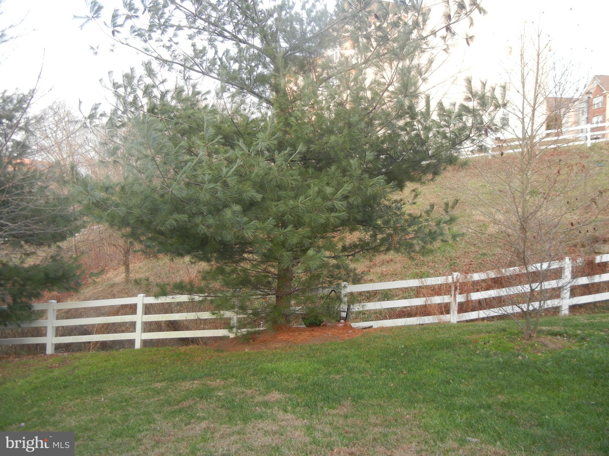 BCKGHM CND@OWGS MS NW TN - Residential Lease