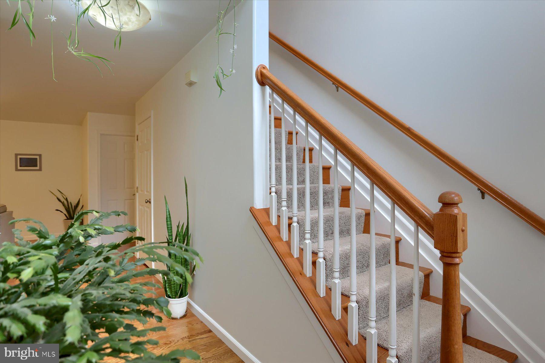 LOCUST WOODS - Residential
