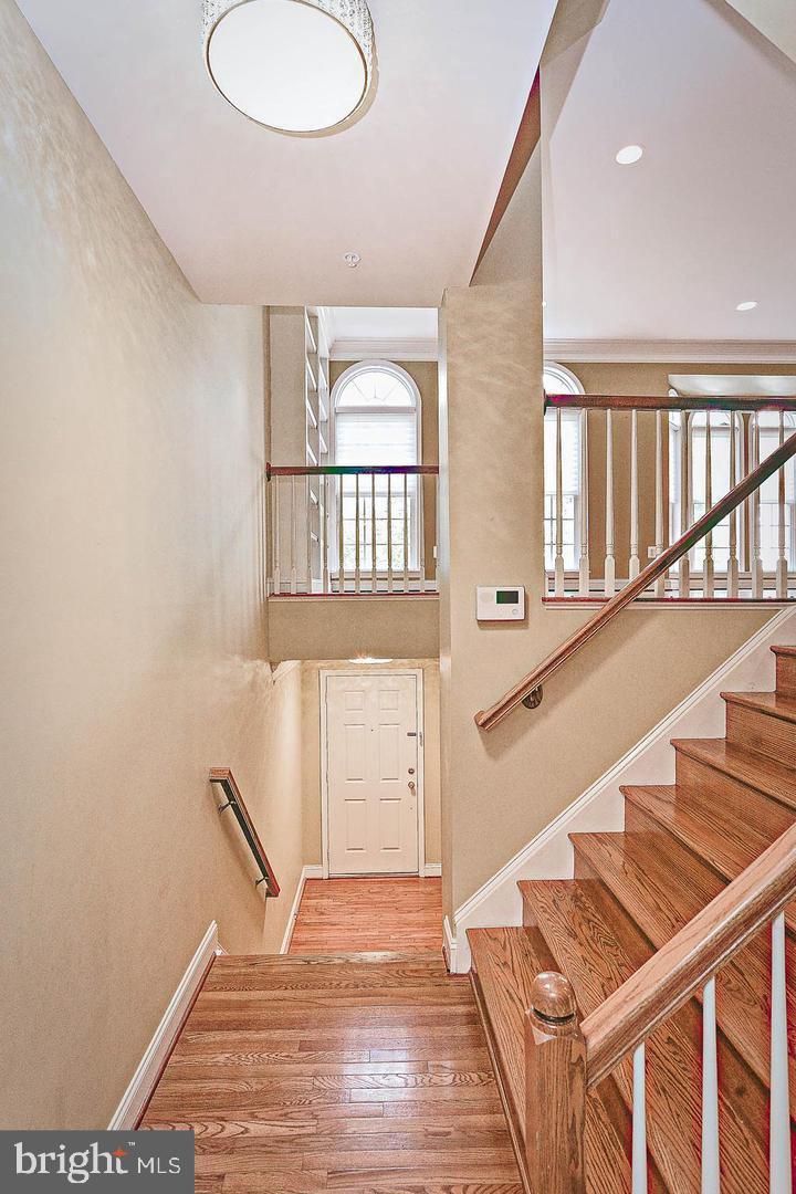 TILDEN PLACE - Residential Lease