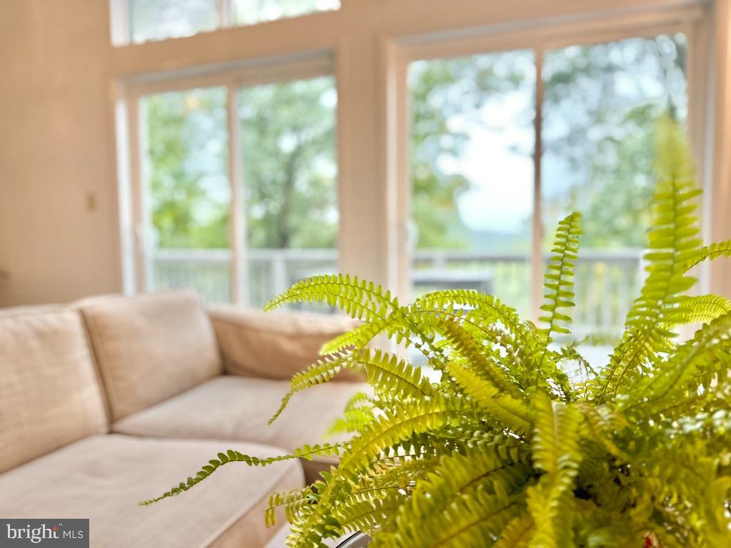 WALDEN WOODS - Residential