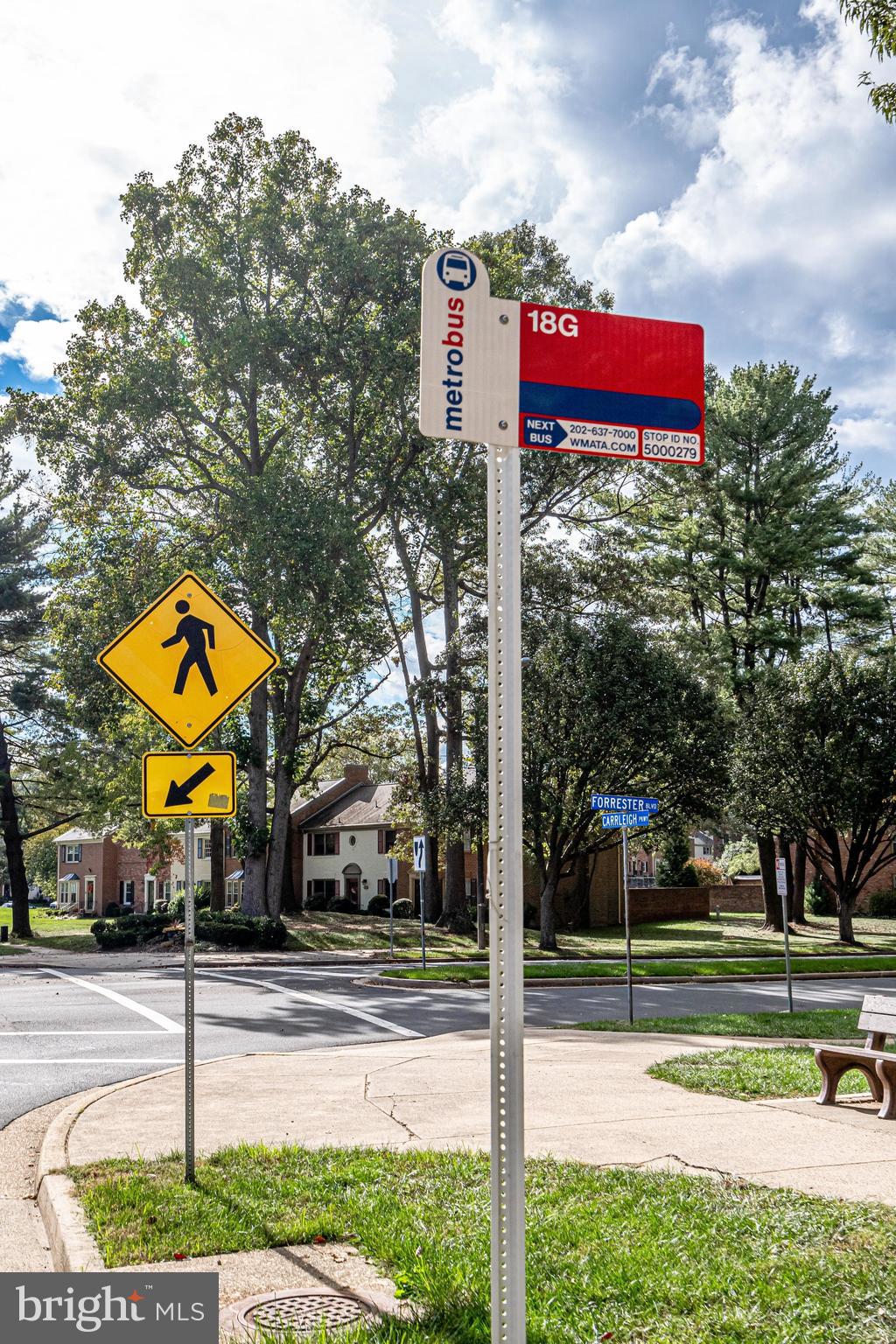 CARDINAL FOREST - Residential
