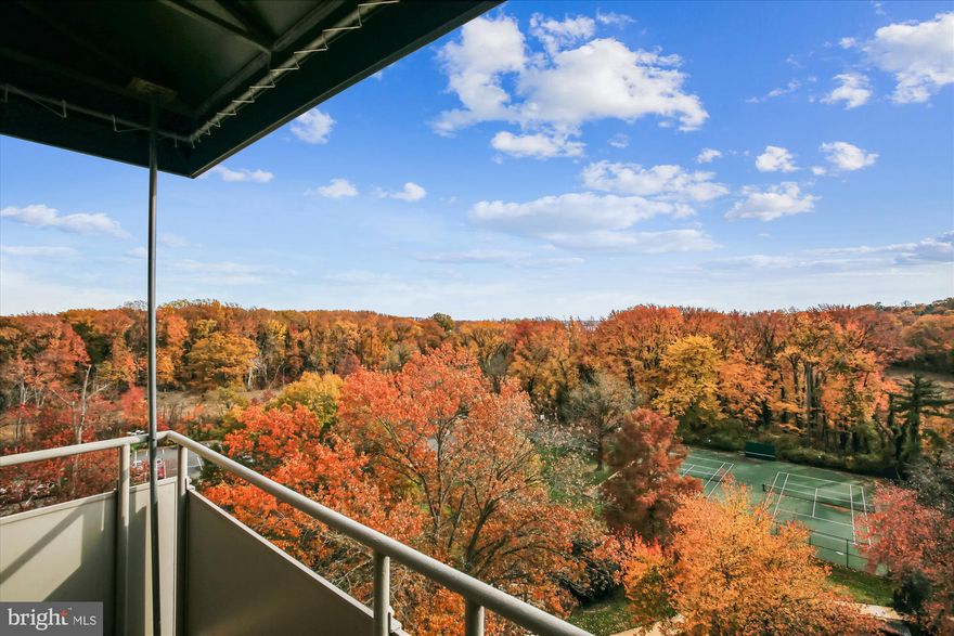 STUNNING VIEWS with this rarely available TOP FLOOR unit WITH BALCONY!   Spacious balcony overlooks not only beautiful tall trees but the Dyke Marsh Wildlife Preserve and the Potomac River beyond the trees!  The balcony provides a wonderful extension to the living space and gives a feeling of more square footage.  There are only a few units with balconies at River Towers making this a truly coveted unit.  AND with southern exposure, this home is filled with natural light offering  a warm, cheerful and inviting home.  Neutral carpet and paint and a spacious feel throughout.  Lots of closets including a HUGE walk-in closet with beautiful custom cabinetry for storage. 
*********  River Towers offers easy living in an amenity-rich community that is nestled on 26 acres of treed parkland.  Amenities include:  Roof-top deck with gorgeous views, exercise room, club room, tennis courts, basketball court, swimming pool, picnic/grilling areas, garden plots, tot lot, canoe/kayak storage, plentiful unassigned parking and a secure building with on-site management.   Condo fee includes ALL utilities: air conditioning, heating, water, electricity and gas.  Walking distance to the Martha Washington Public Library, the West Grove Dog Park, and the brand new Mt Vernon Recreation Center.  Bus service outside with short ride to Huntington Metro.  Minutes to Old Town Alexandria and National Harbor.  Blocks from the Potomac River and Mt Vernon bike trail. Don't miss out on this extra special unit that is rarely available!