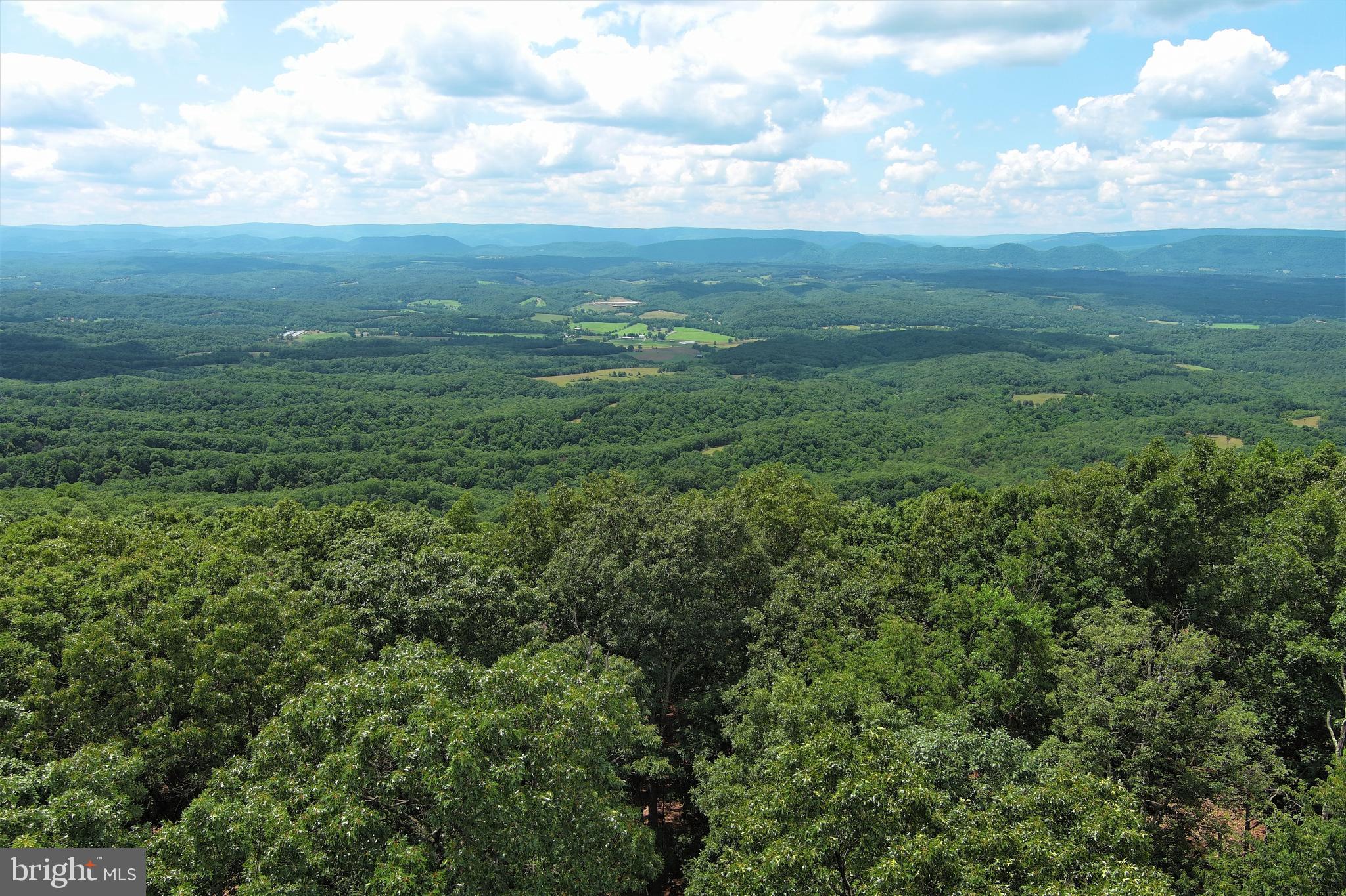 KING OF THE MOUNTAIN.....20 WOODED ACRES ELEVATED AT 1650 FT A TOP "MIDDLE RIDGE" WITH PRISTINE PANORAMIC VIEWS OF WESTERN MOUNTAIN RANGES AND THE PATTERSON CREEK VALLEY. TRULY A PREMIUM LOT WITH THE BEST VIEWS MONEY CAN BUY. EASY TO BUILD ON, POWER & PERKED, OLD LOGGING ROAD PROVIDES MAKESHIFT DRIVEWAY AND SHORT PULL FOR ELECTRIC HELPS SAVE ON INFRASTRUCTURE COSTS.....FANTASTIC LEVEL BUILD SITE AMONGST ANCIENT HARDWOODS, NATURAL SLOPE OF LOT MAKES GETTING THE VIEW EASY, MINIMAL TREE REMOVAL REQUIRED FOR 180 DEGREE VIEWS THAT WILL KNOCK YOUR SOCKS OFF! LOCATED IN THE PRESTIGIOUS GATED COMMUNITY OF "THE BLUFFS ON THE POTOMAC".....THE BLUFFS IS KNOWN FOR IT'S ABUNDANCE OF BIG BUCKS, BEAR & TURKEY. AS AN ADDED BONUS, THE COMMUNITY HAS IT'S OWN PRIVATE COMMON AREA ON THE SOUTH BRANCH OF THE POTOMAC RIVER FOR CANOE, KAYAK, TUBES, FISH & SWIM......A PRIVATE PARK ON THE RIVER FOR YOUR SUMMERTIME ENJOYMENT. THERE'S ONLY A SMALL HANDFUL OF LOTS IN THE BLUFFS THAT OFFER THE PREMIUM WESTERN VIEW, THIS IS ONE OF THE FEW REMAINING THAT HAVEN'T BEEN BUILT ON, GRAB ONE WHILE YOU CAN!
