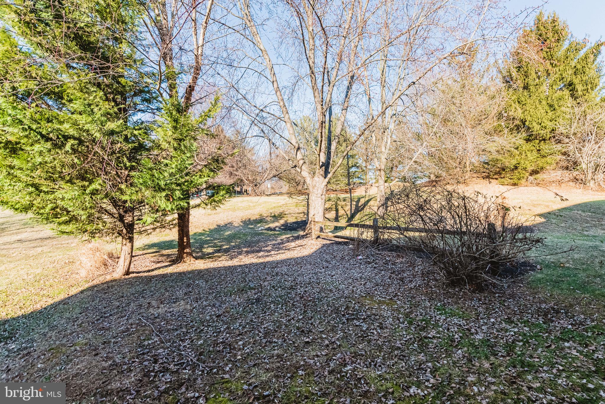 LAUREL WOODS - Residential Lease