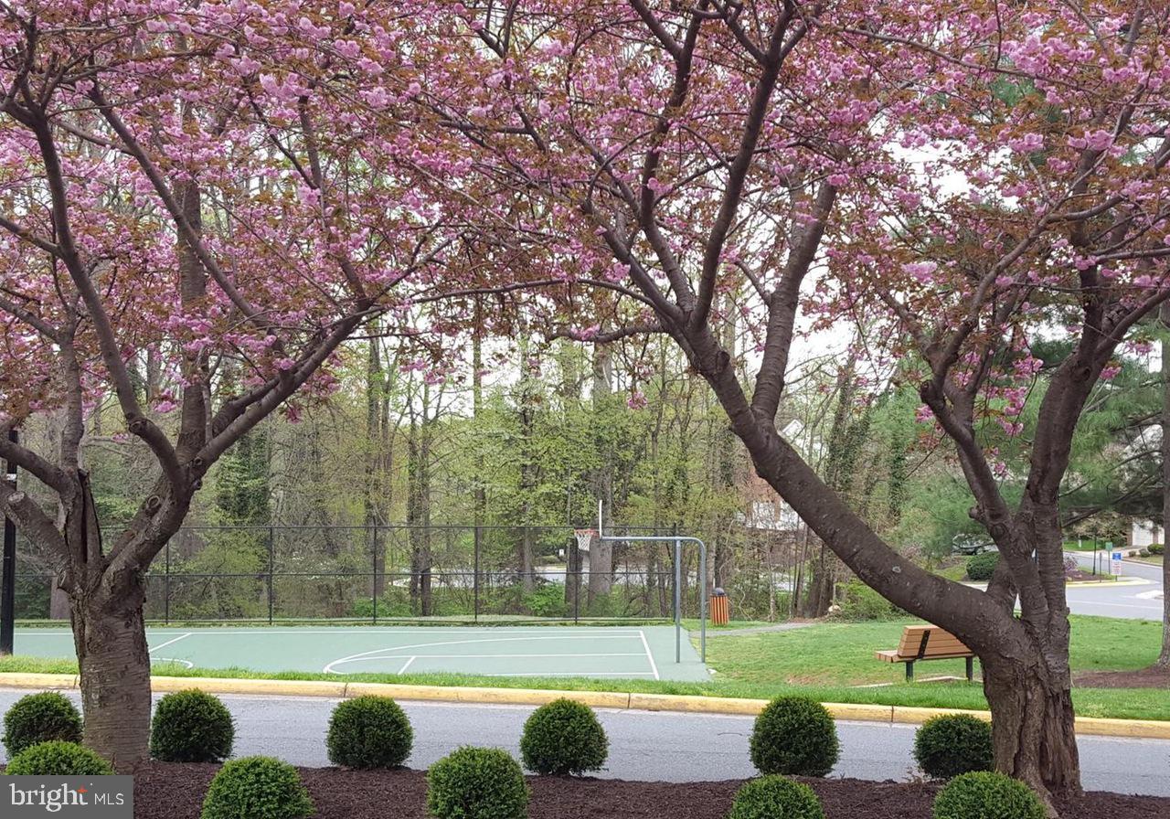 PENDERBROOK SQUARE CONDOMINIUMS - Residential