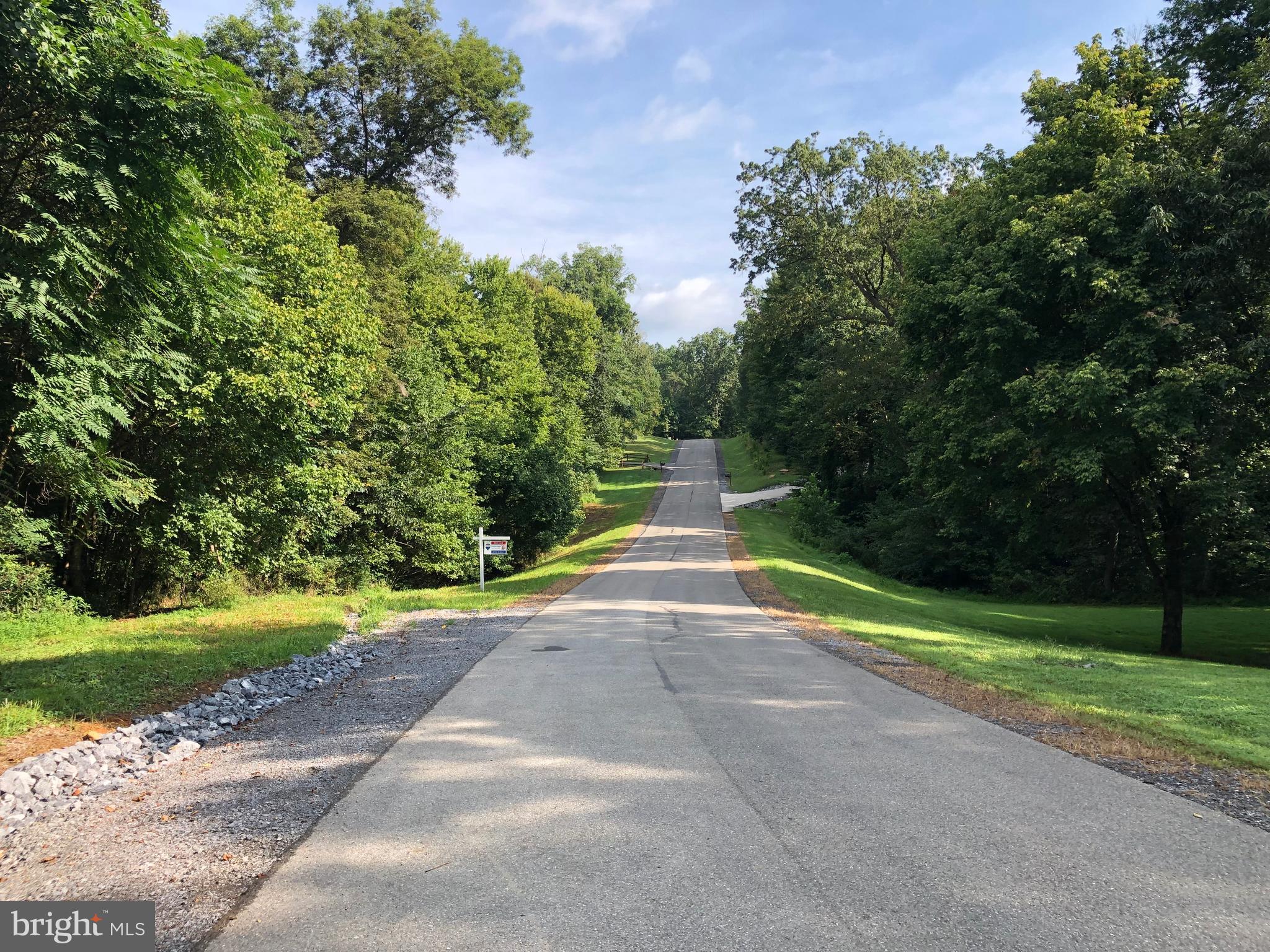 Over 4+ acre lot for sale in a gorgeous gated community that lies along the Potomac River. Complete access to the river and endless water sports such as waterski/wakeboard, sailing, swimming, fishing, etc. There is one dock that is maintained by the community association. Plenty of picnic areas and common grounds. Call for details about owner financing. Highly sought after Mills School district! Convenient access to I81 corridor.Over 4+ acre lot for sale in a gorgeous gated community that lies along the Potomac River. Complete access to the river and endless water sports such as waterski/wakeboard, sailing, swimming, fishing, etc. There is one dock that is maintained by the community association. Plenty of picnic areas and common grounds. Call for details about owner financing. Highly sought after Mills School district! Convenient access to I81 corridor.