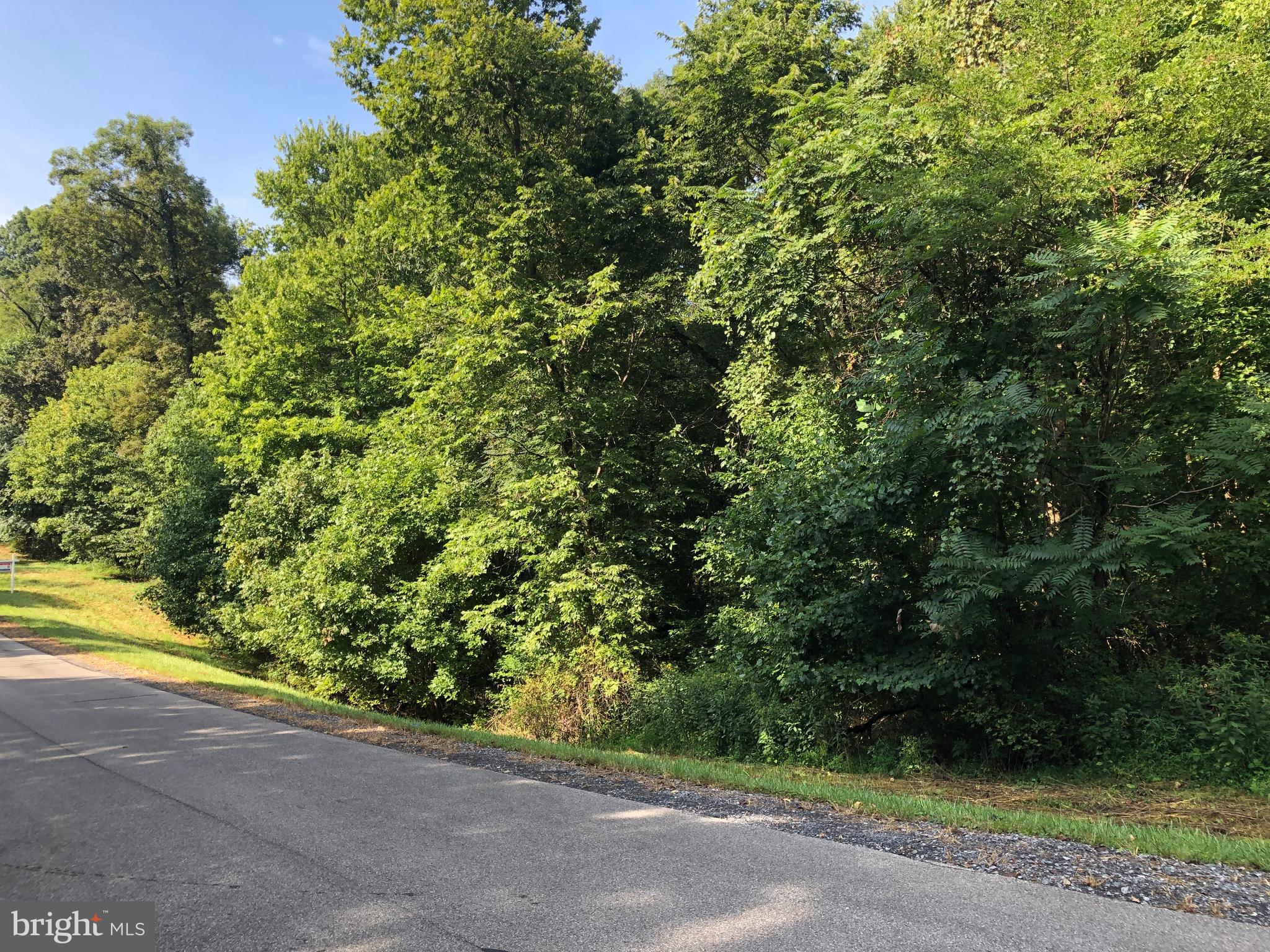 CROSSINGS ON THE POTOMAC - Land