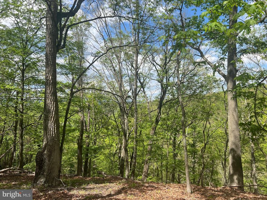 Looking for privacy and seclusion? Maybe a place to set up camp? Then look no further - 5.46 acres with panoramic views and no HOA! As an added bonus there is a structure on the property, an old travel trailer that has been built onto/around with electric run to however the electric is not on. You cannot access the structure at this time and it is being sold strictly AS-IS. This property has so many possibilities, whether you would like to just enjoy the land as-is, improve upon the current structure, remove the current structure and build new, or maybe keep the current structure and still build new. Whatever your vision may be, this property is a must see!