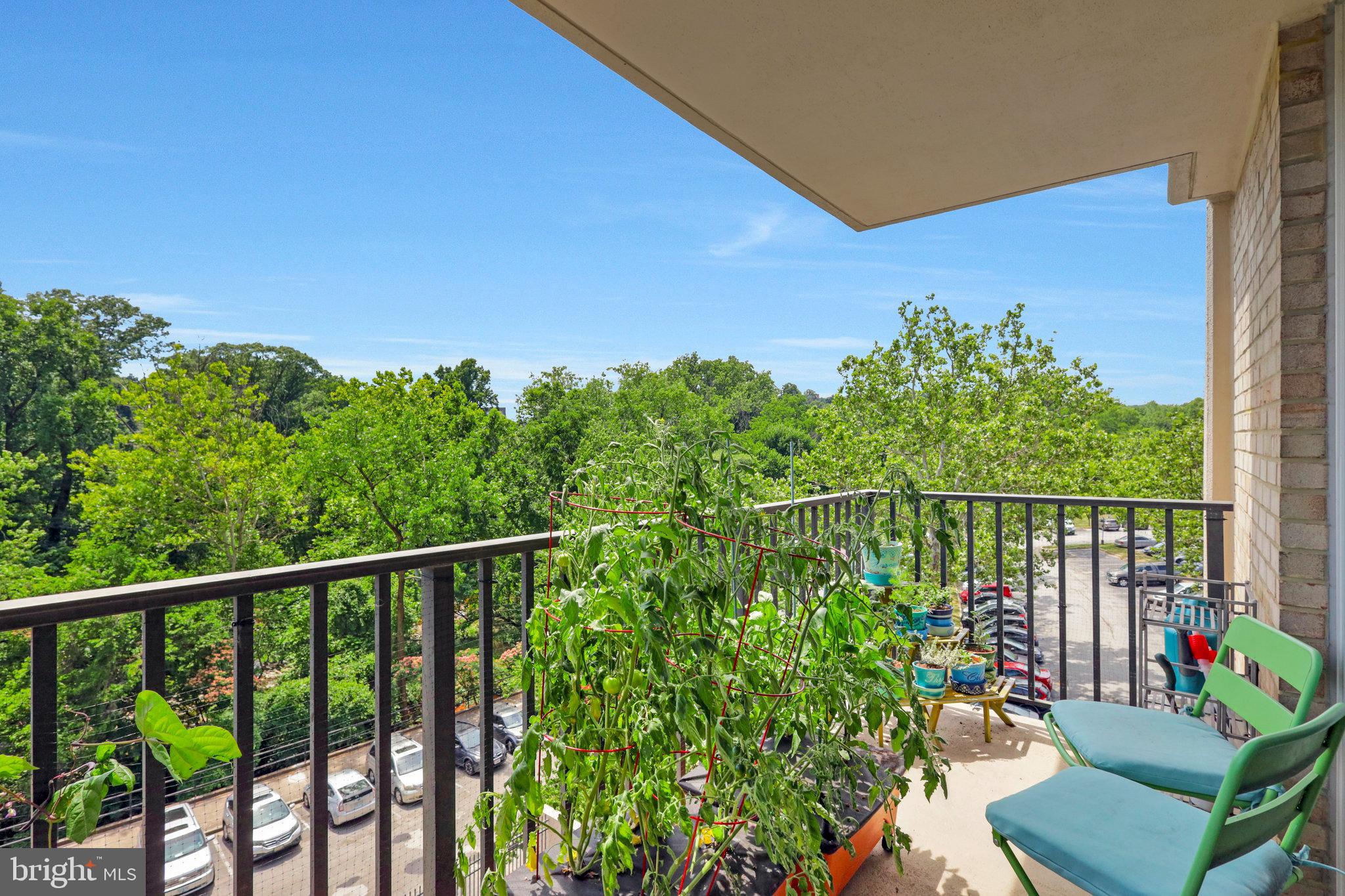 THE CARLTON - Residential