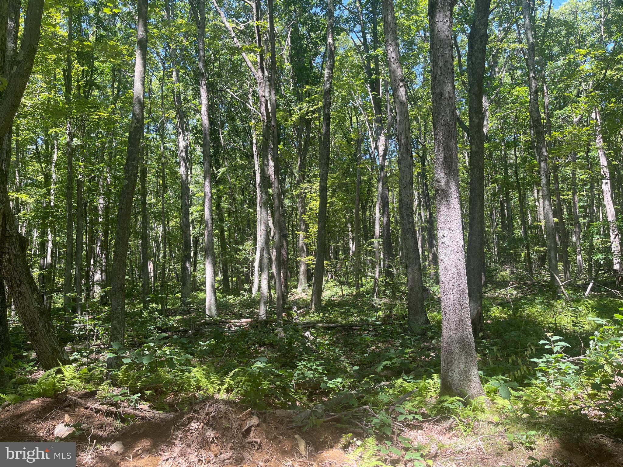 0 SCHELL ROAD