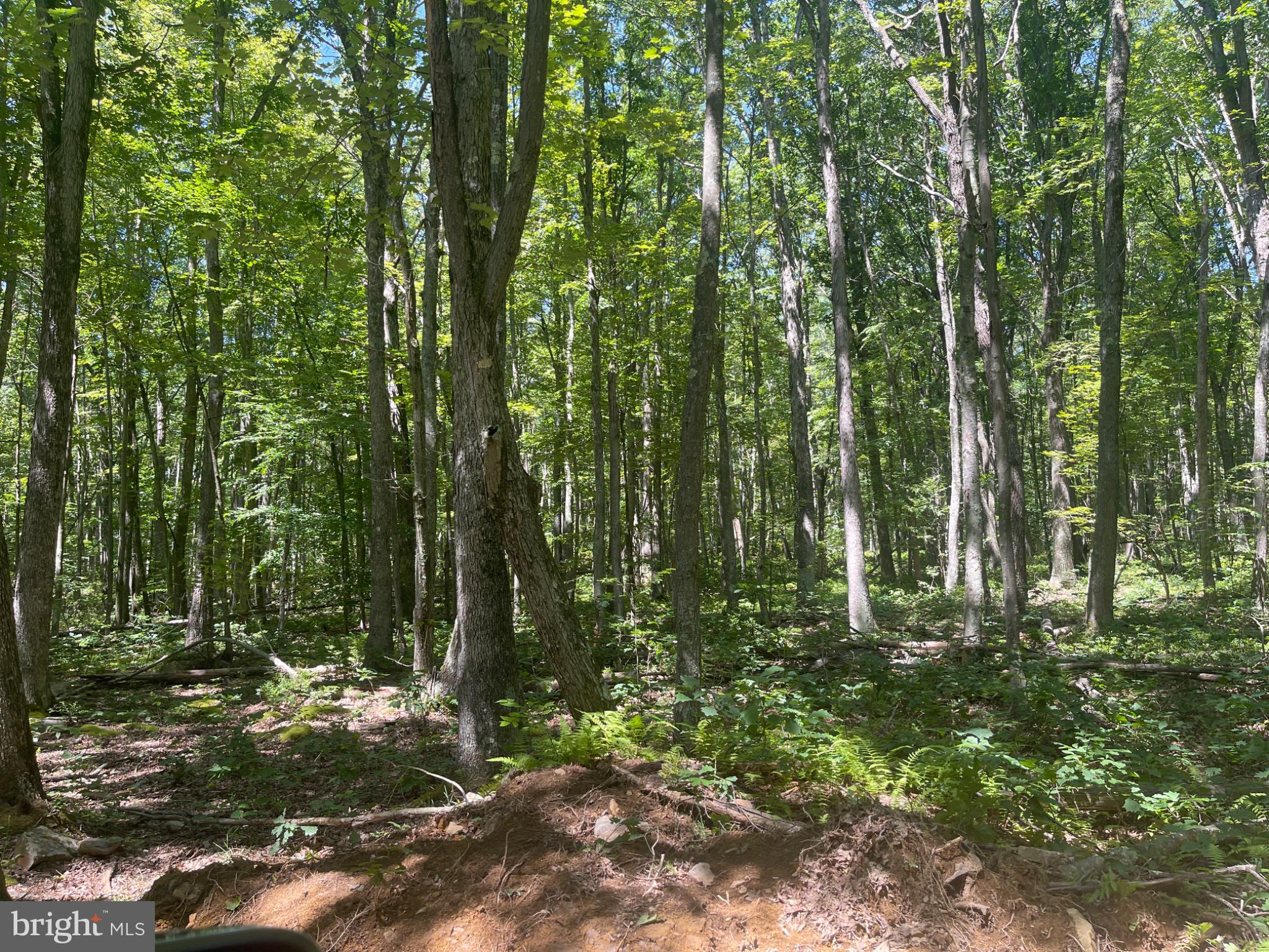 0 SCHELL ROAD