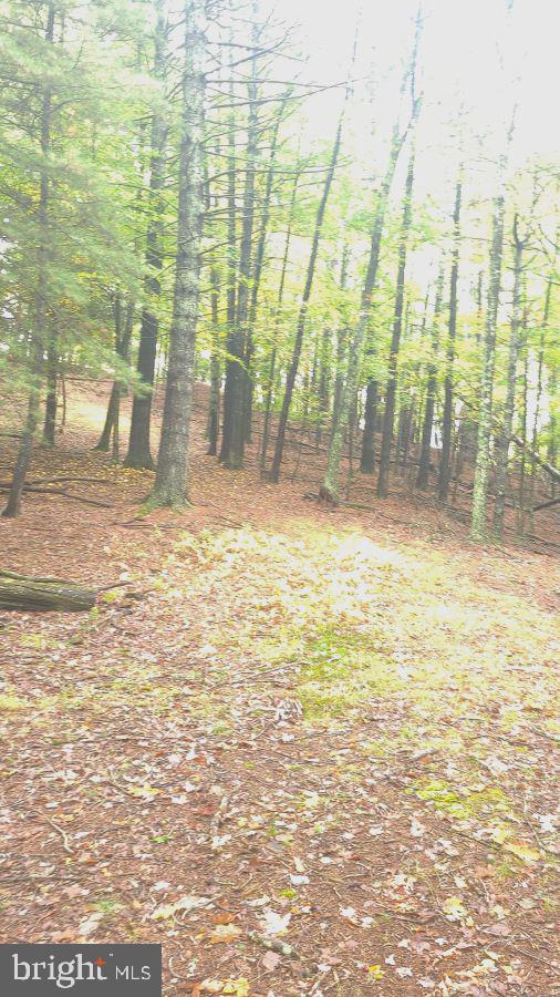 SUGAR GROVE ESTATES - Land