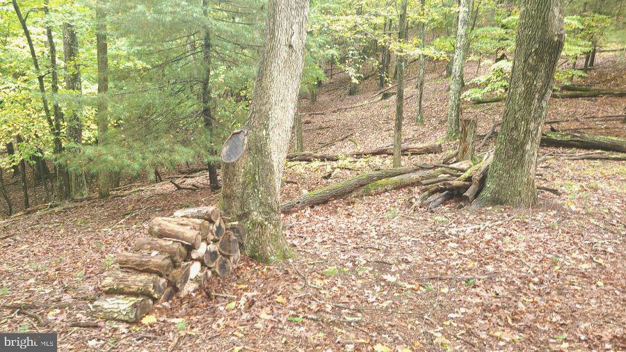 SUGAR GROVE ESTATES - Land