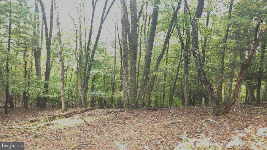 SUGAR GROVE ESTATES - Land