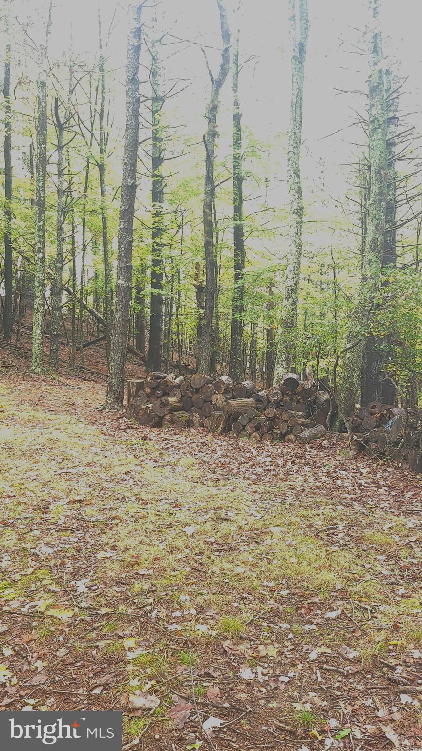 SUGAR GROVE ESTATES - Land