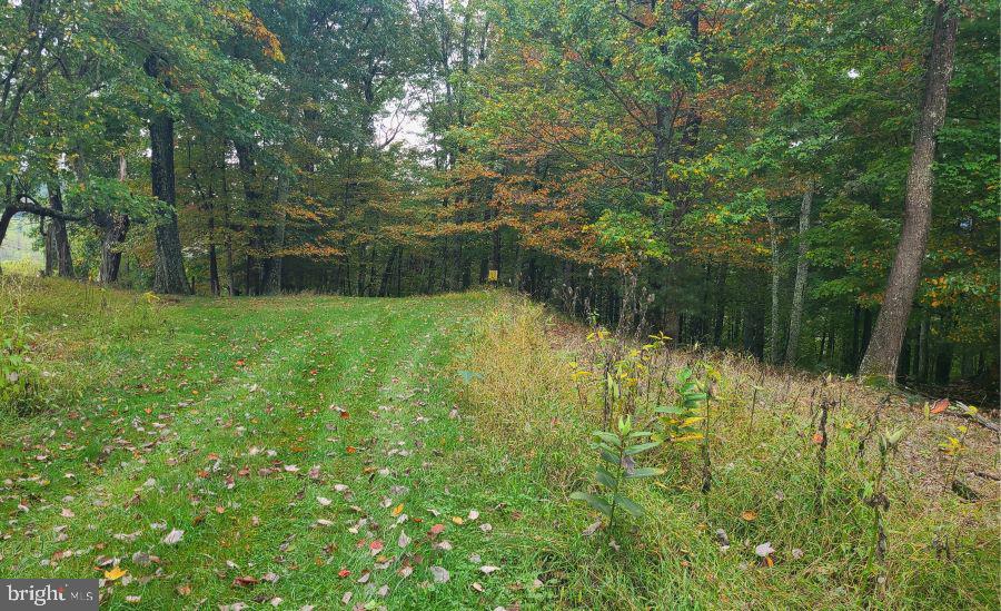 SUGAR GROVE ESTATES - Land