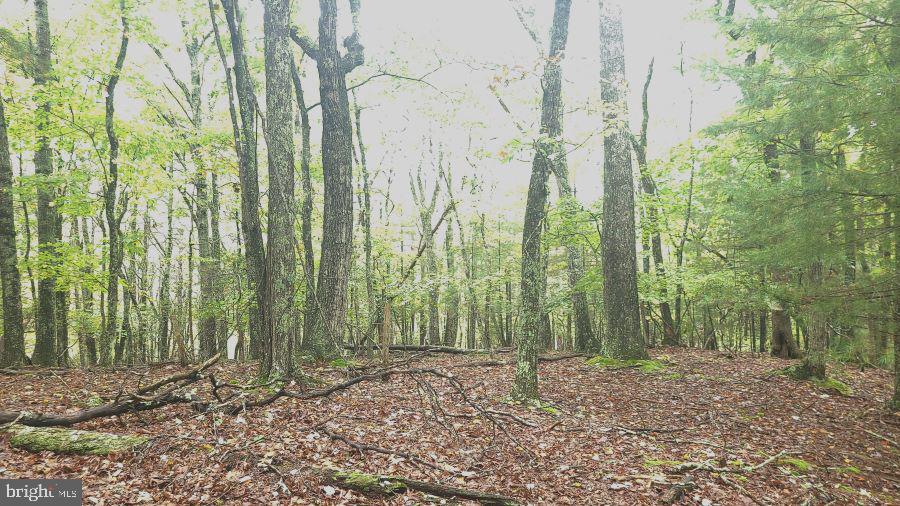 SUGAR GROVE ESTATES - Land