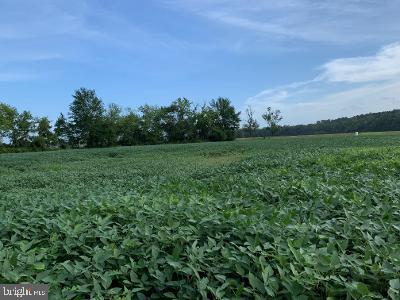 Investment or development opportunity on Route 50. Total of 2.14 acres bordering Rt 50 and Grays Corner Road just past the intersection of Rt 50 and Rt 589.