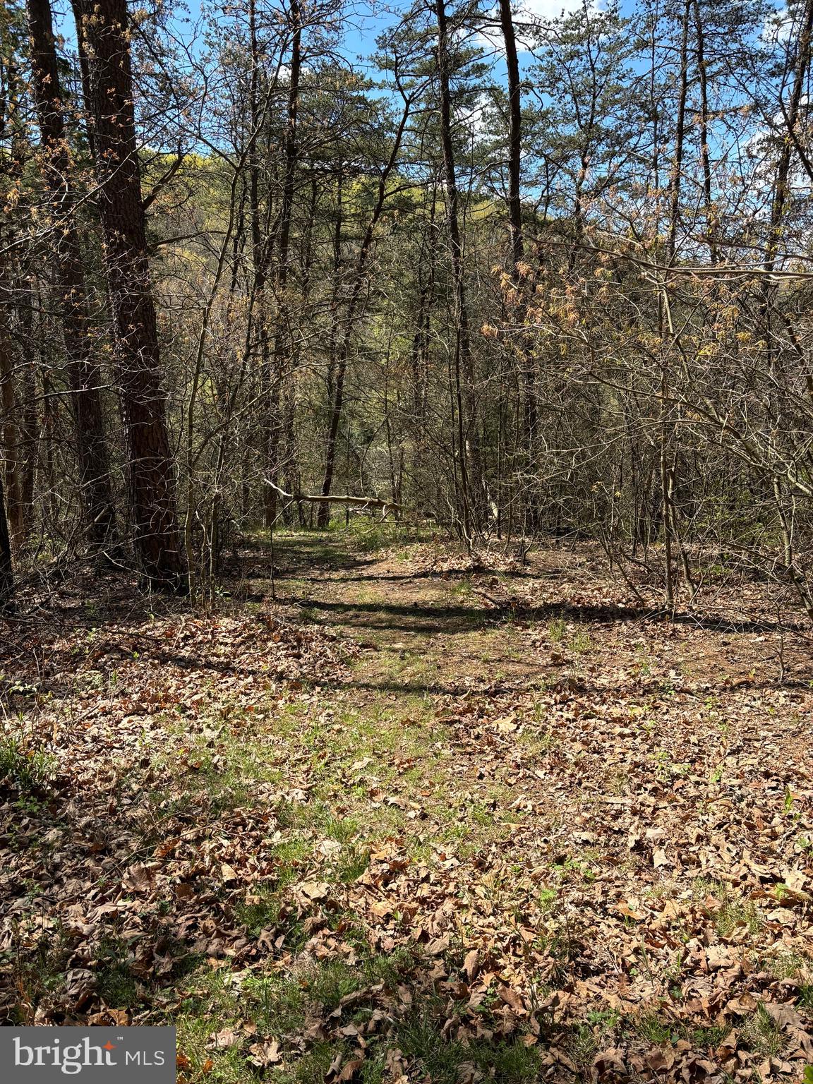 LONG ACRE ESTATES - Residential