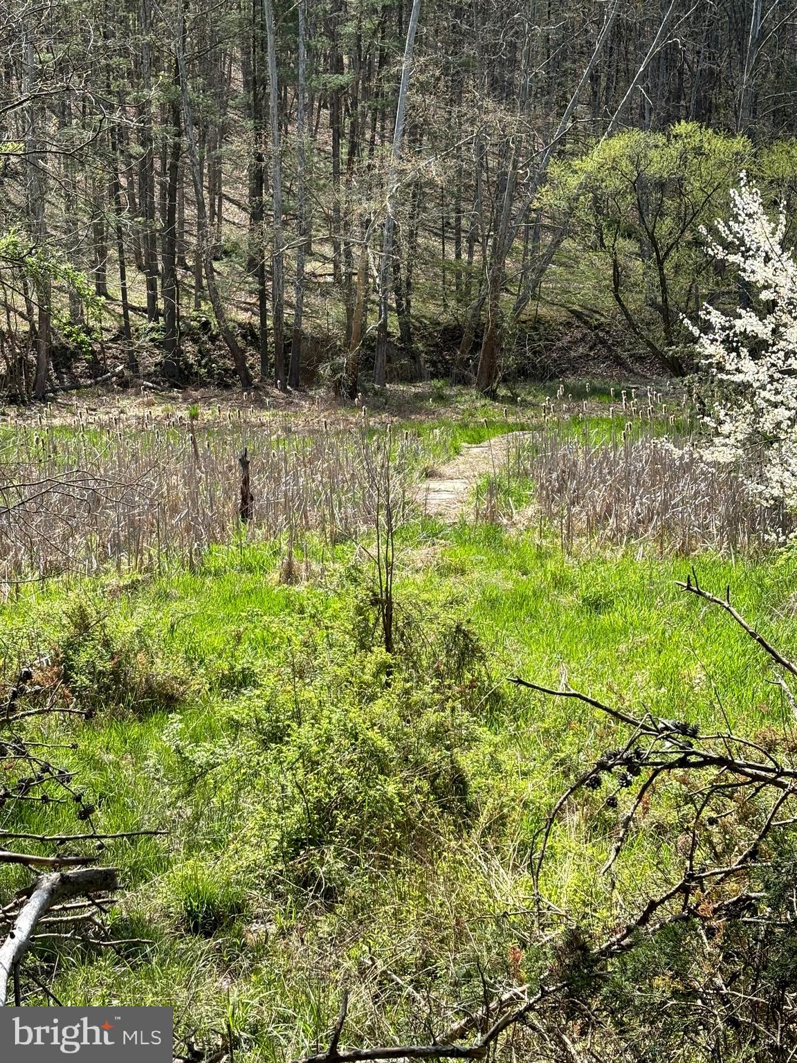 LONG ACRE ESTATES - Residential