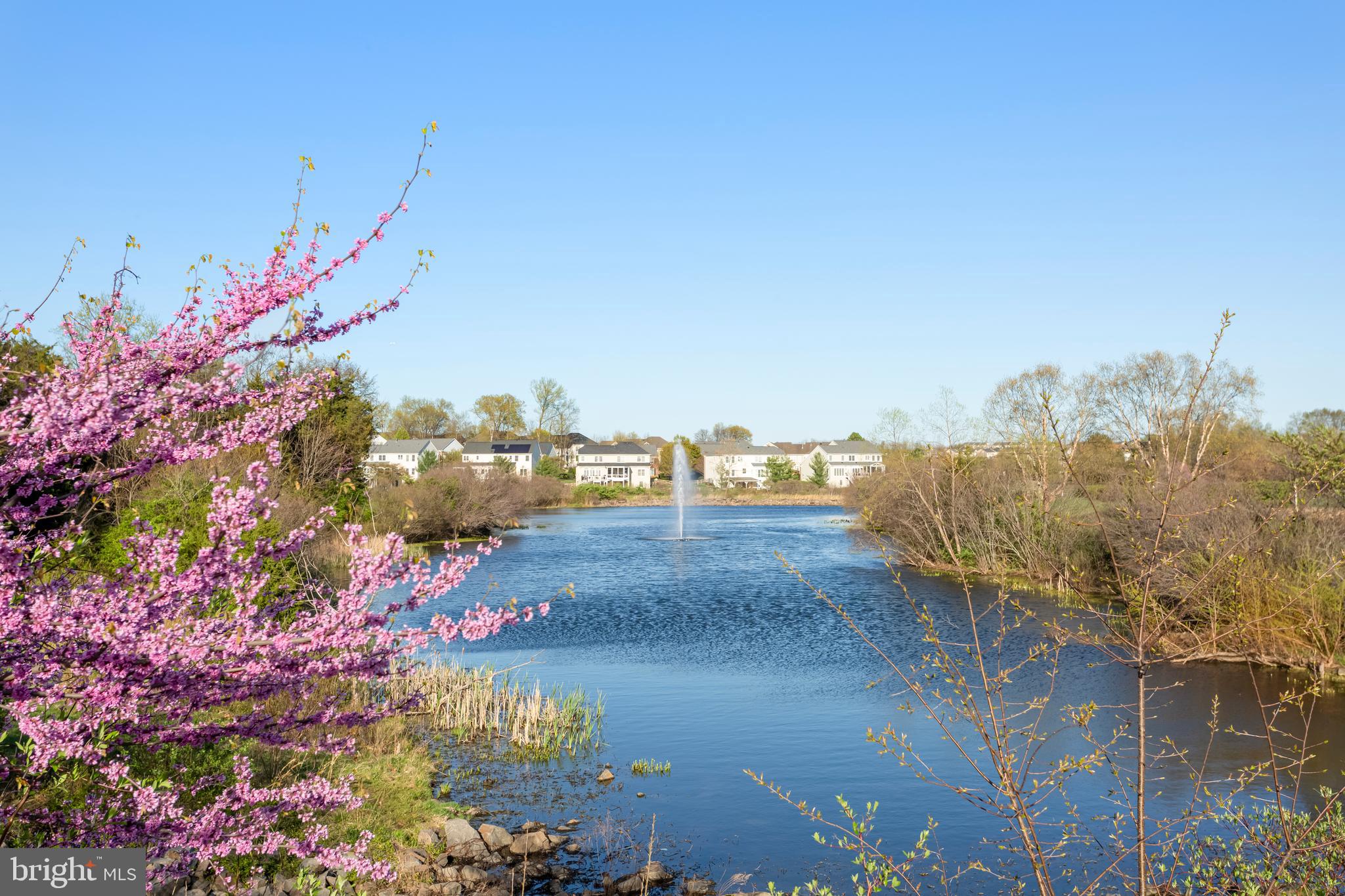 PEMBROOKE - Residential