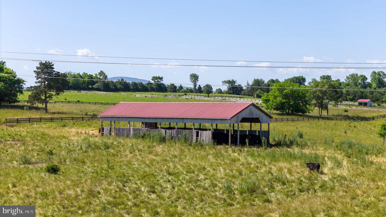 NONE AVAILABLE - Farm