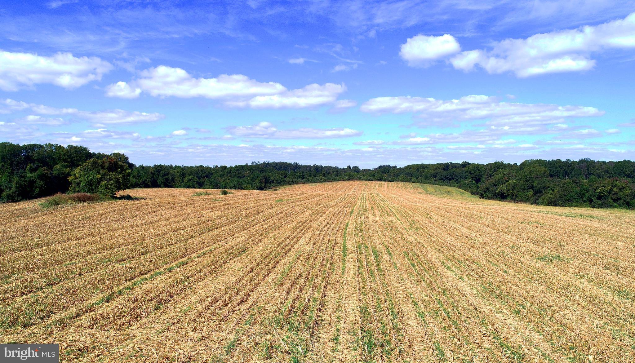 HAVRE DE GRACE HEIGHTS - Land