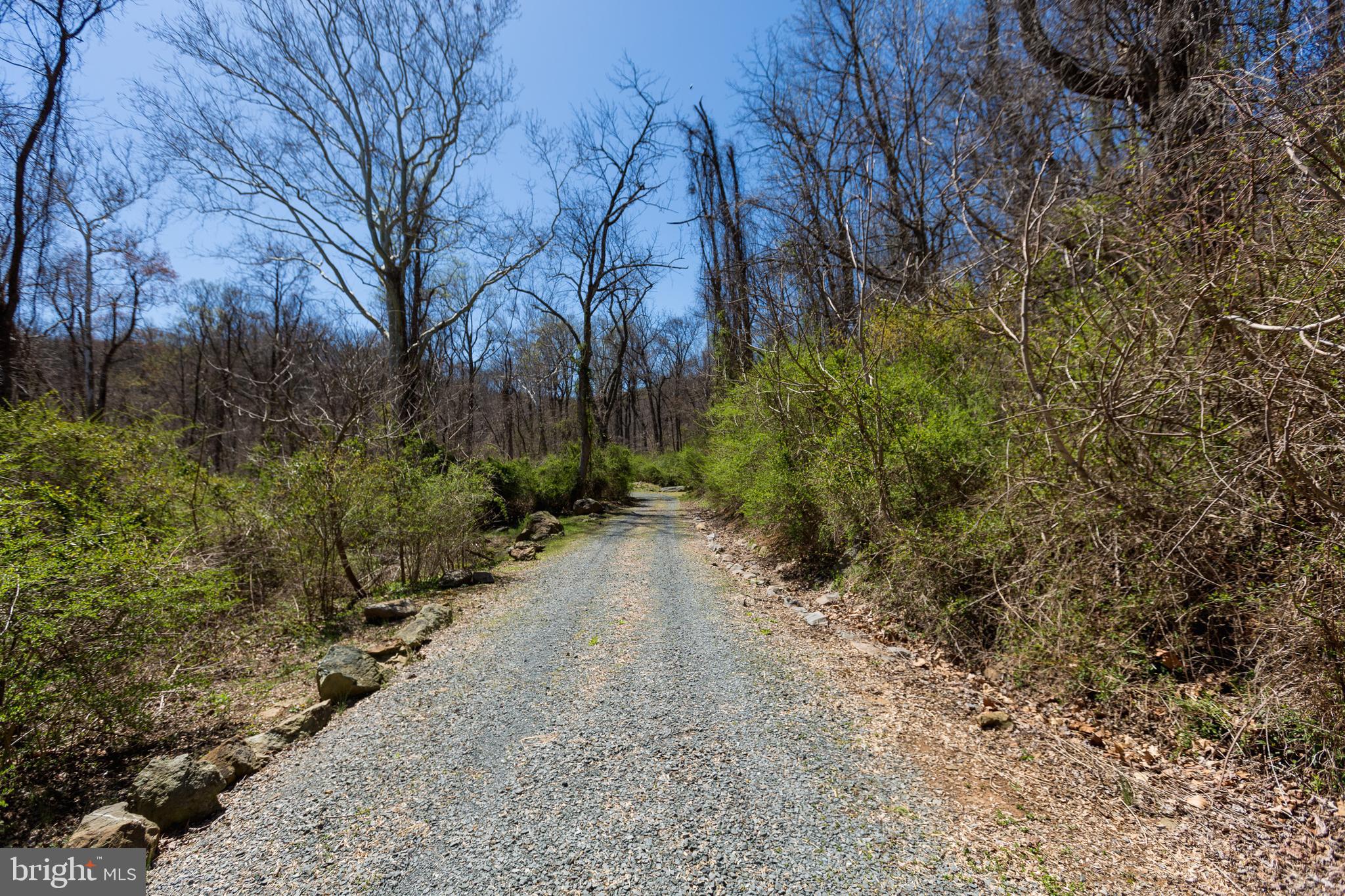 BLUEMONT - Residential