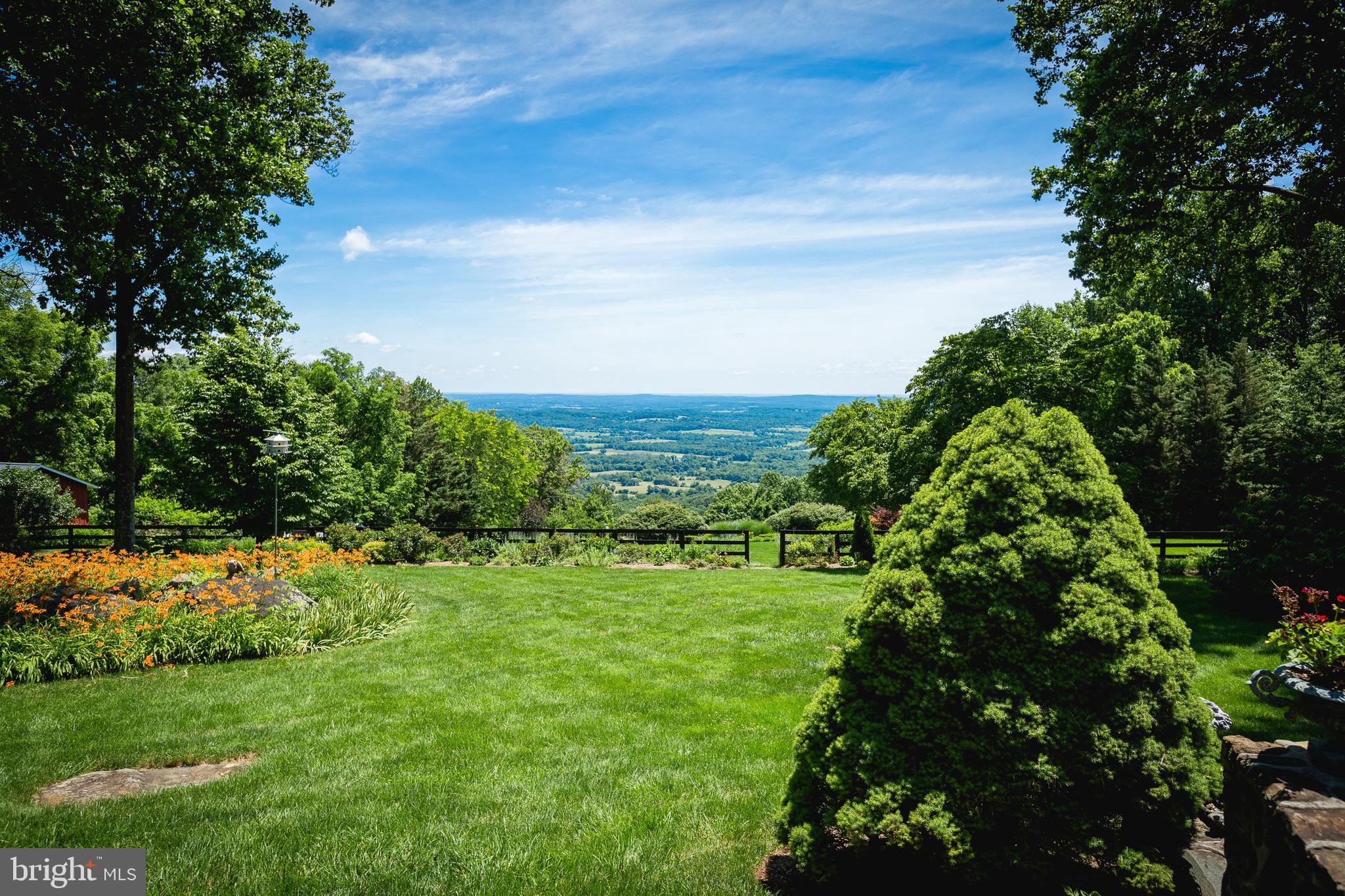 BLUEMONT - Residential