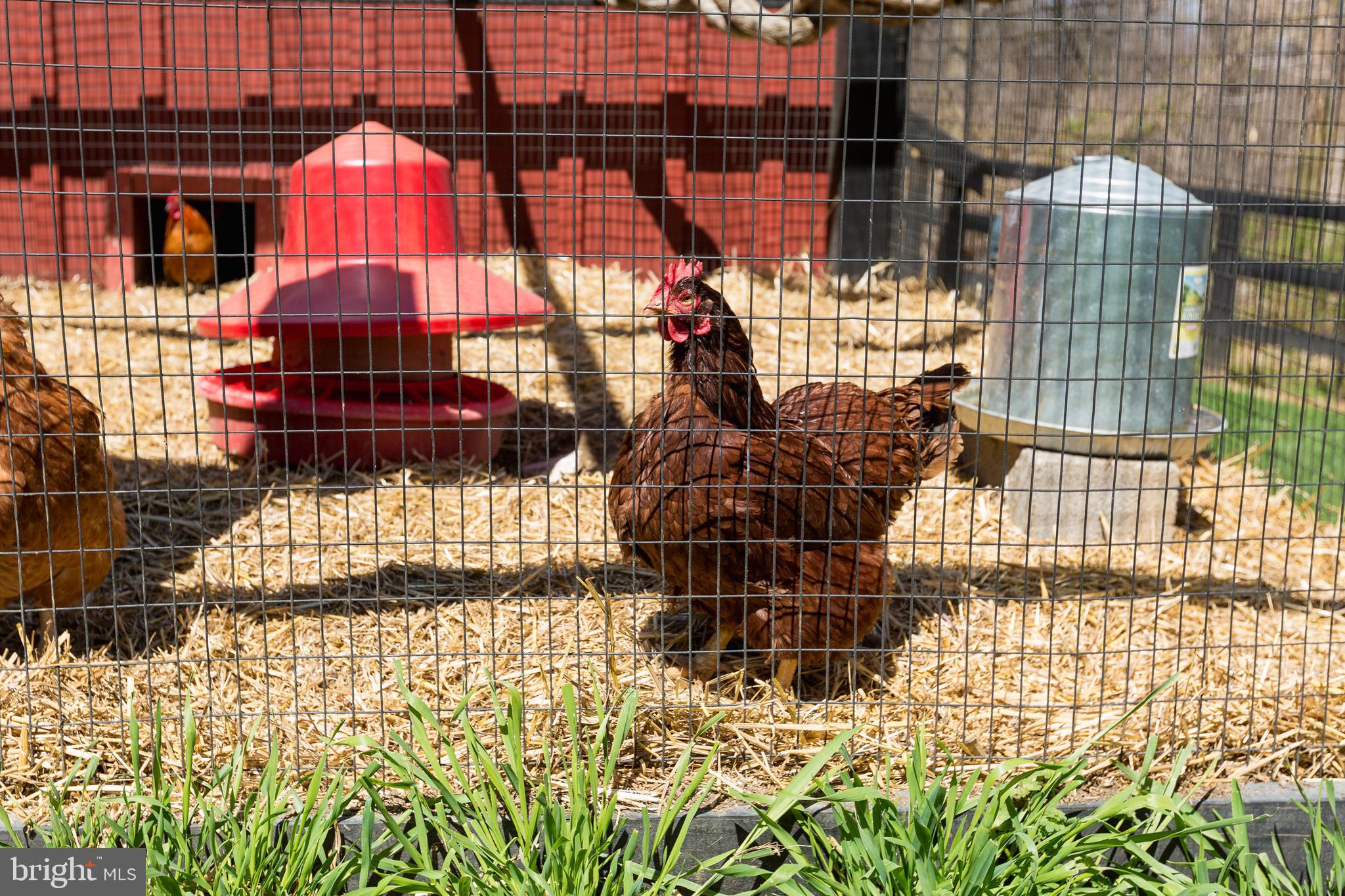 BLUEMONT - Residential